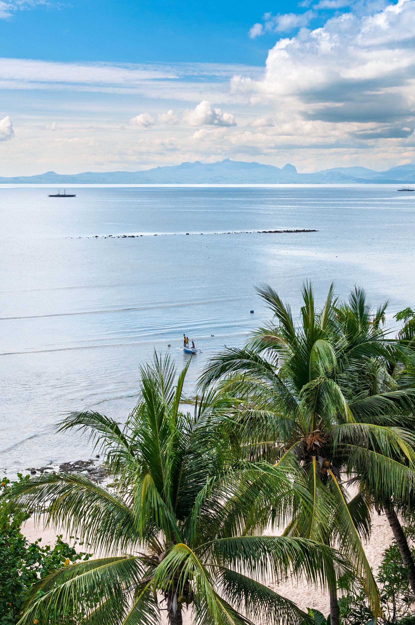 A tropical beach scene with green palm trees in the foreground, calm water with a small boat, and mountains in the distance under a partly cloudy sky.