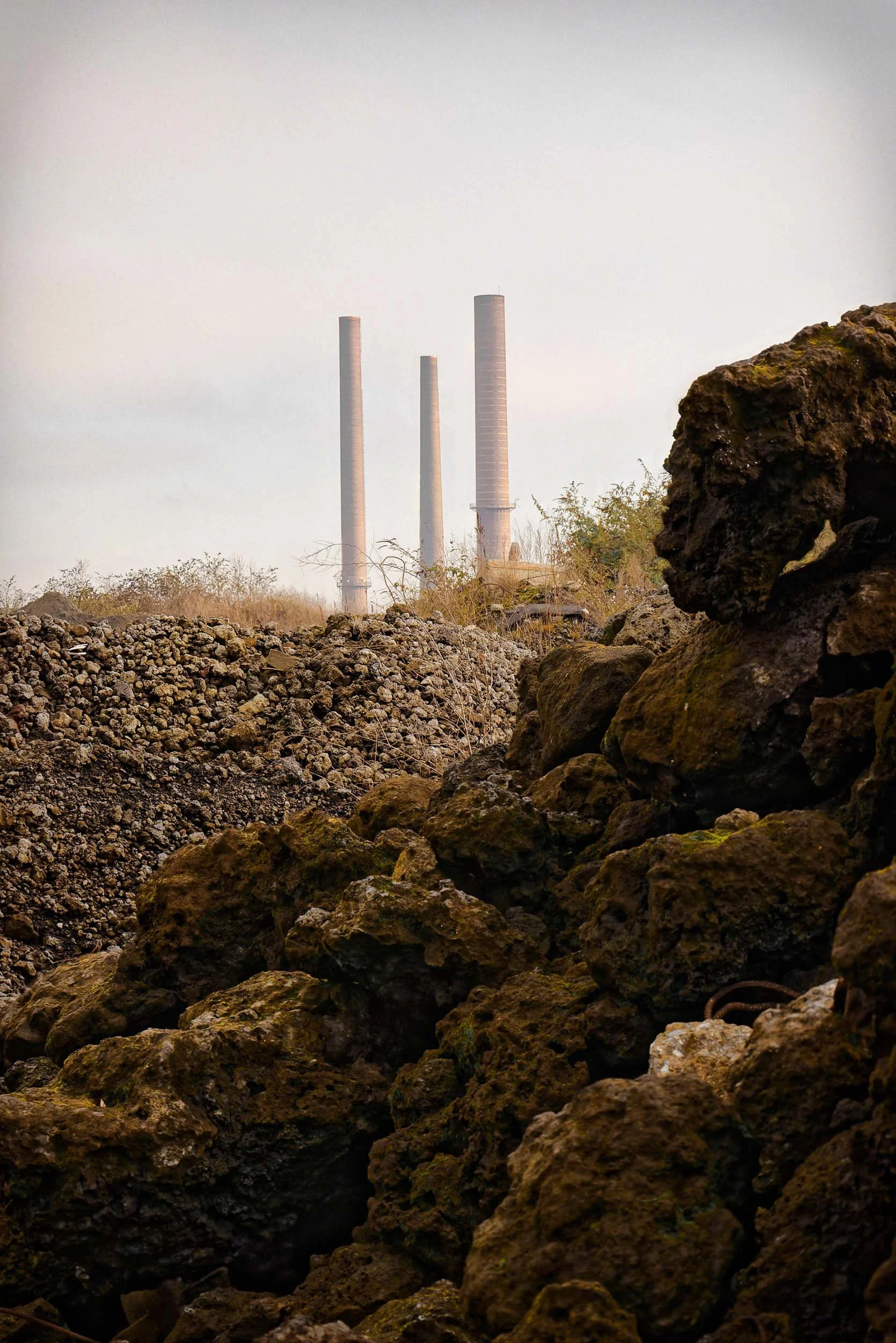 more services_13.jpg