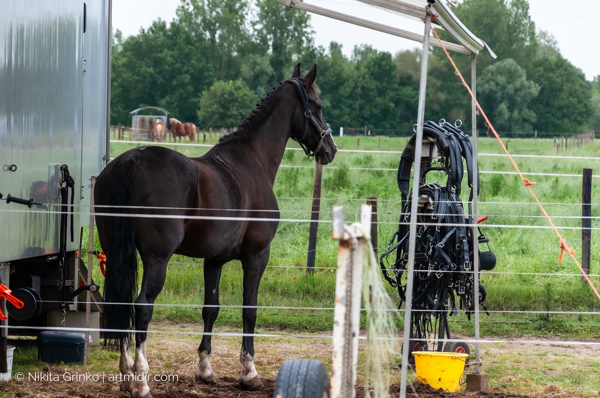 2024.06.02_CAN Bornem June 2024_06.jpg