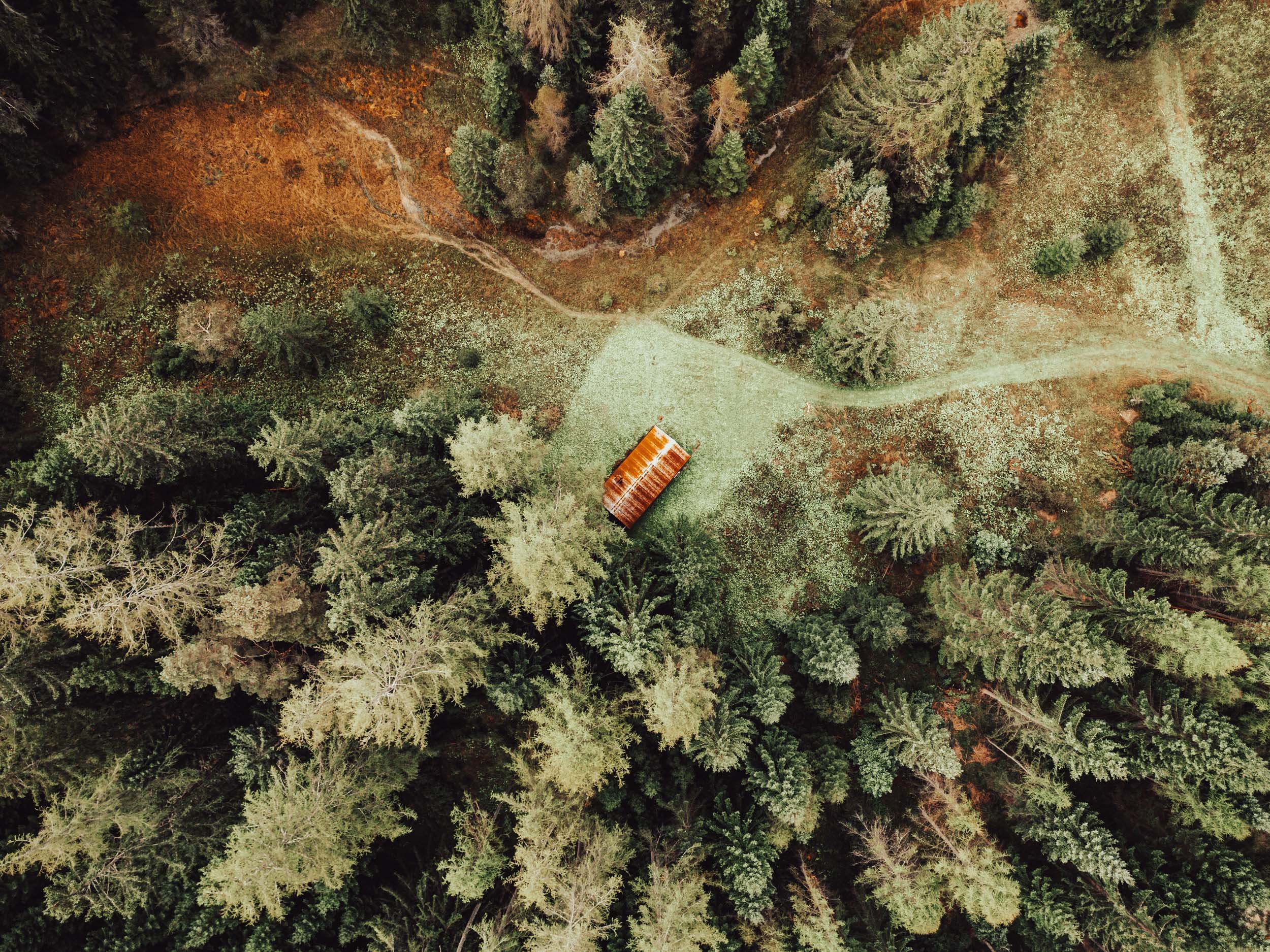 An aerial view of a forested area with a small rusted building and a dirt path curving through trees and open grassy patches.