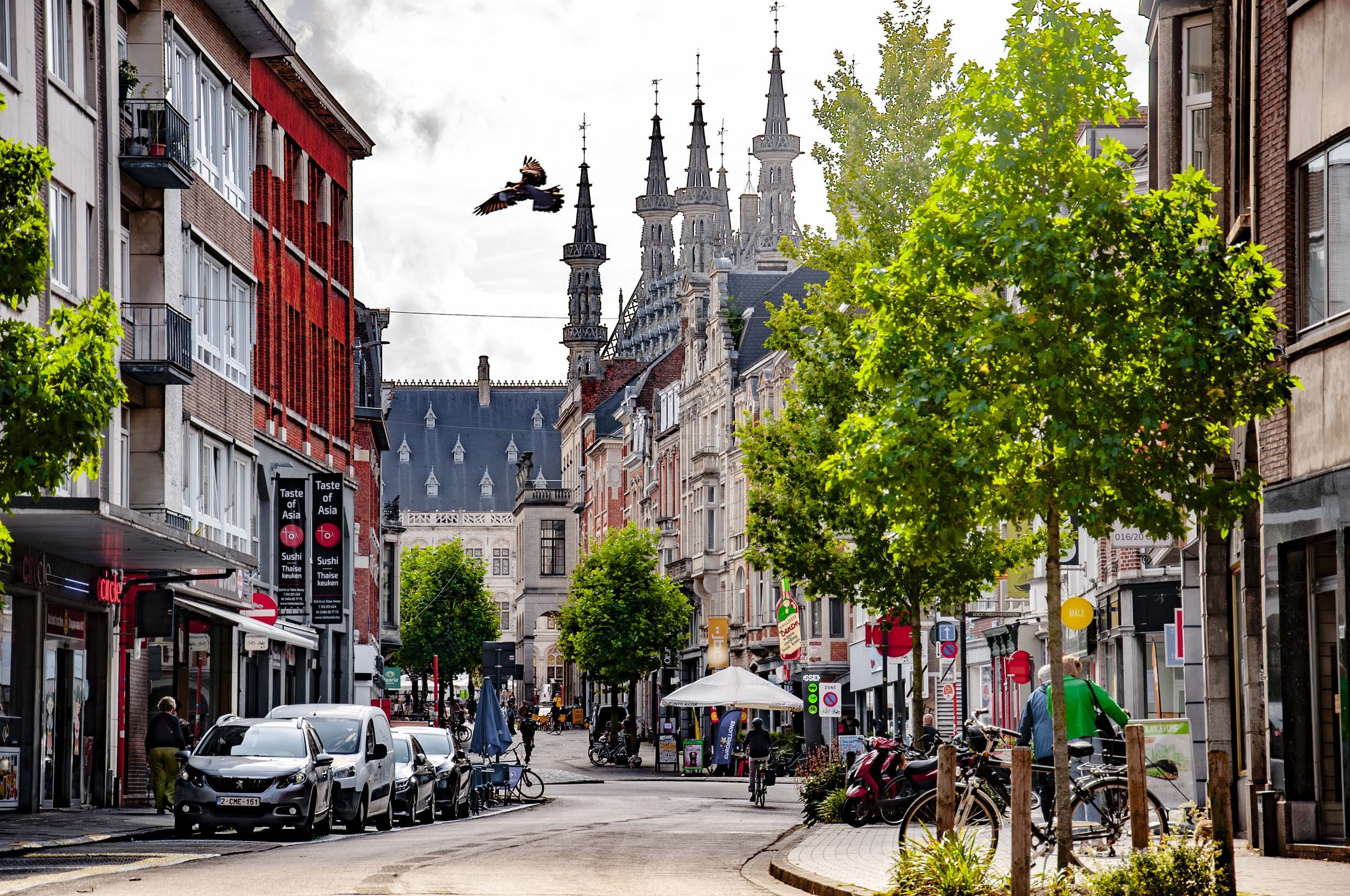 A vibrant Leuven city street scene with trees lining the sidewalk, parked bikes and scooters, pedestrians, and a castle-like building with spires in the background. There are shops, signs, and a person walking, with a bird flying in the sky.