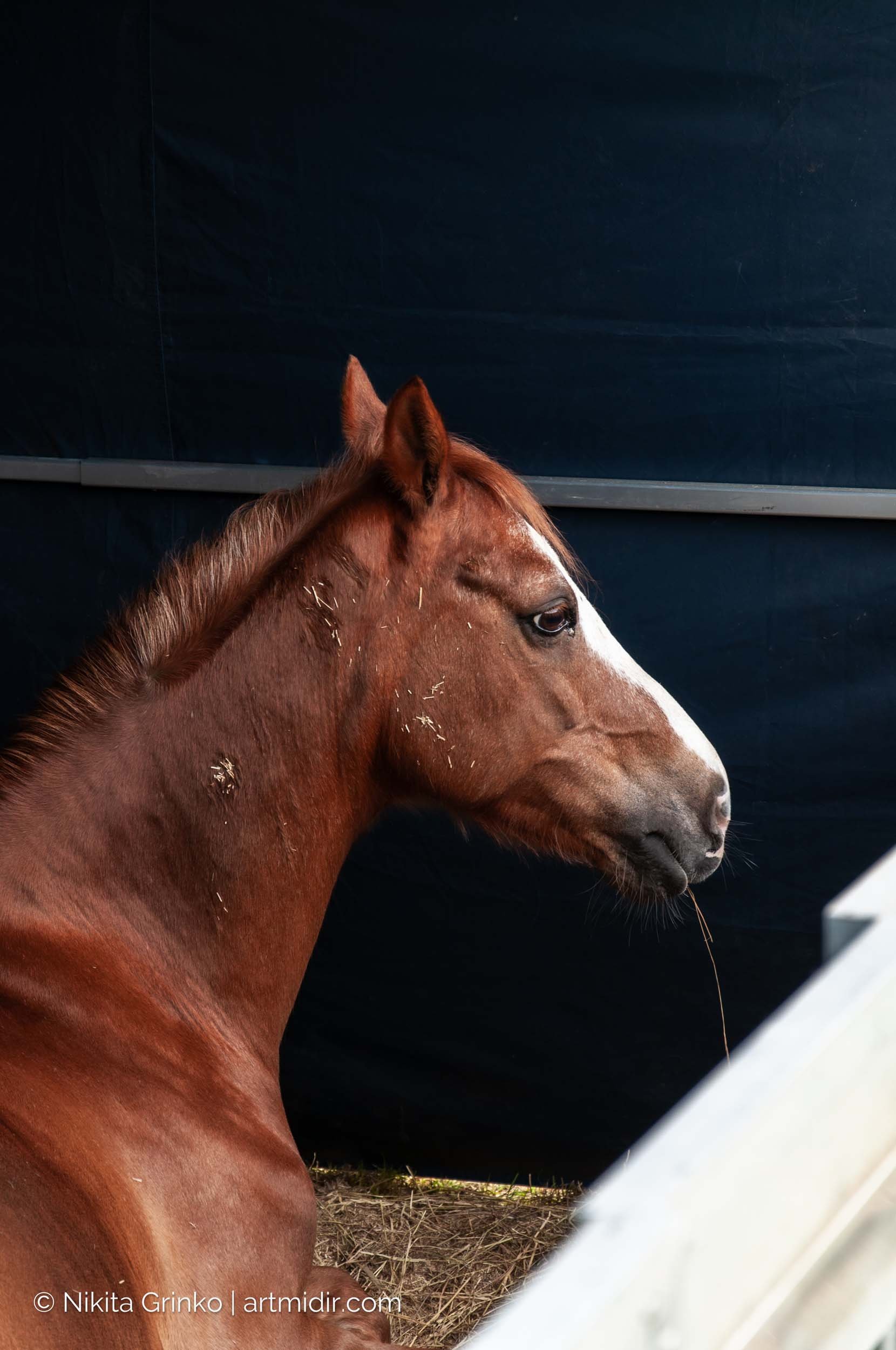 2024.06.02_CAN Bornem June 2024_03.jpg