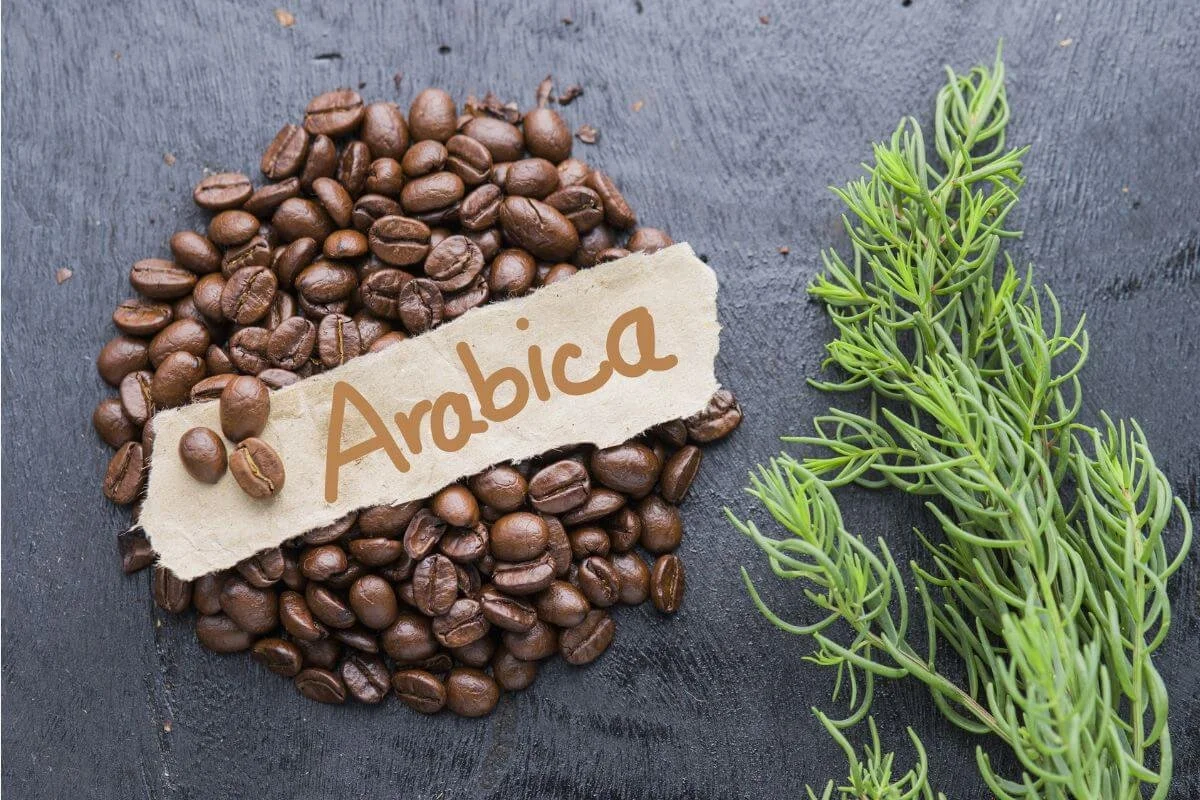 Arabica Organic