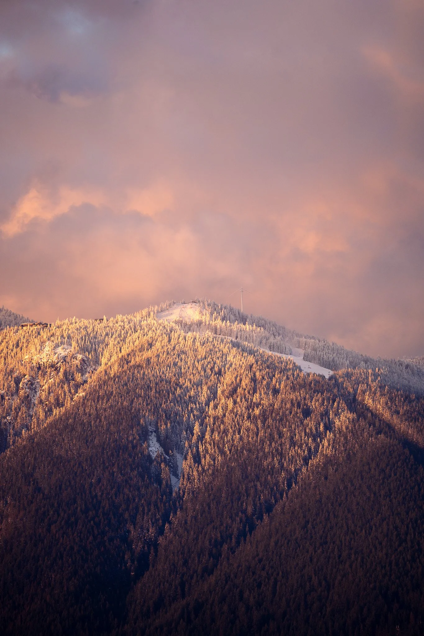 Cypress Mountain
