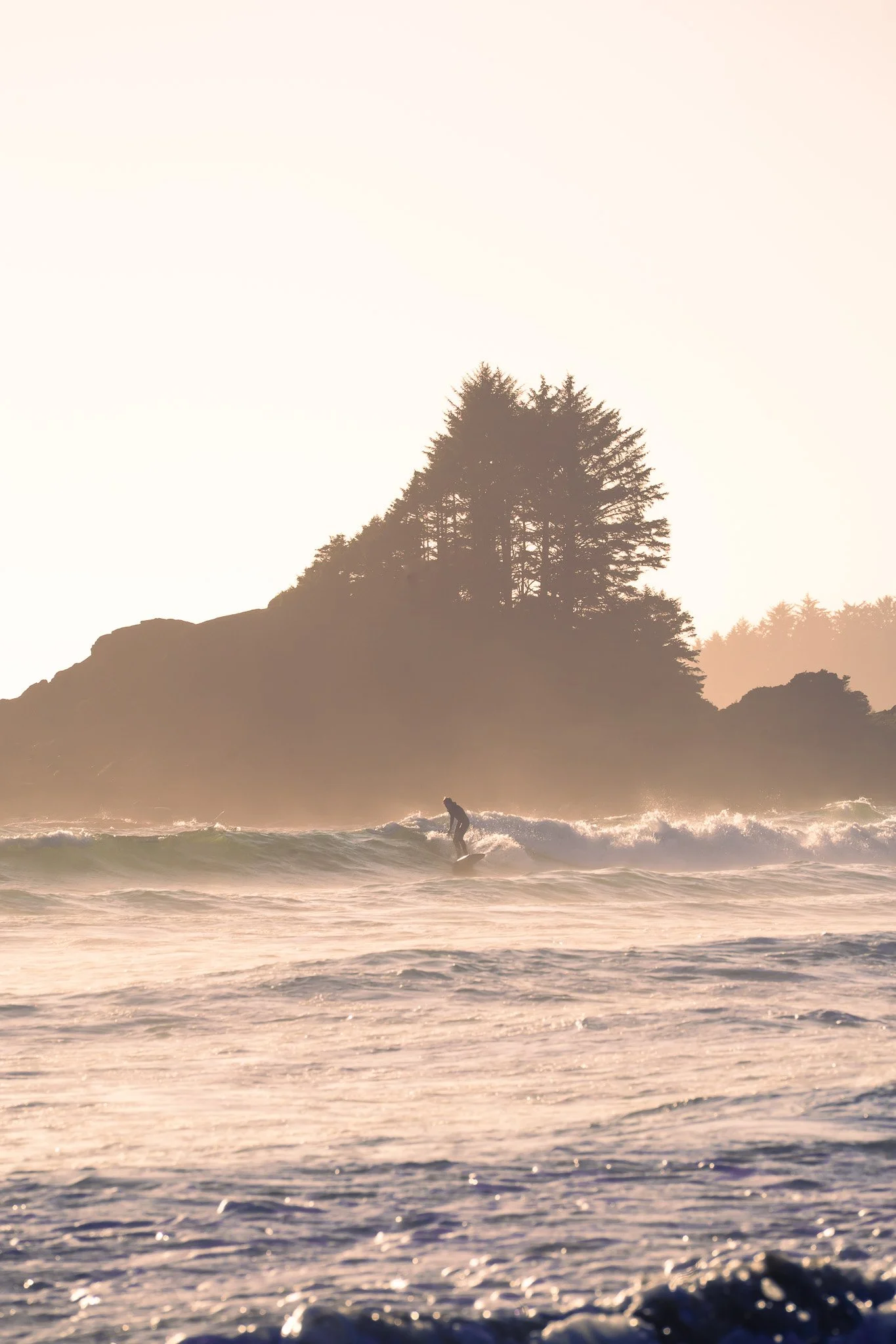Tofino