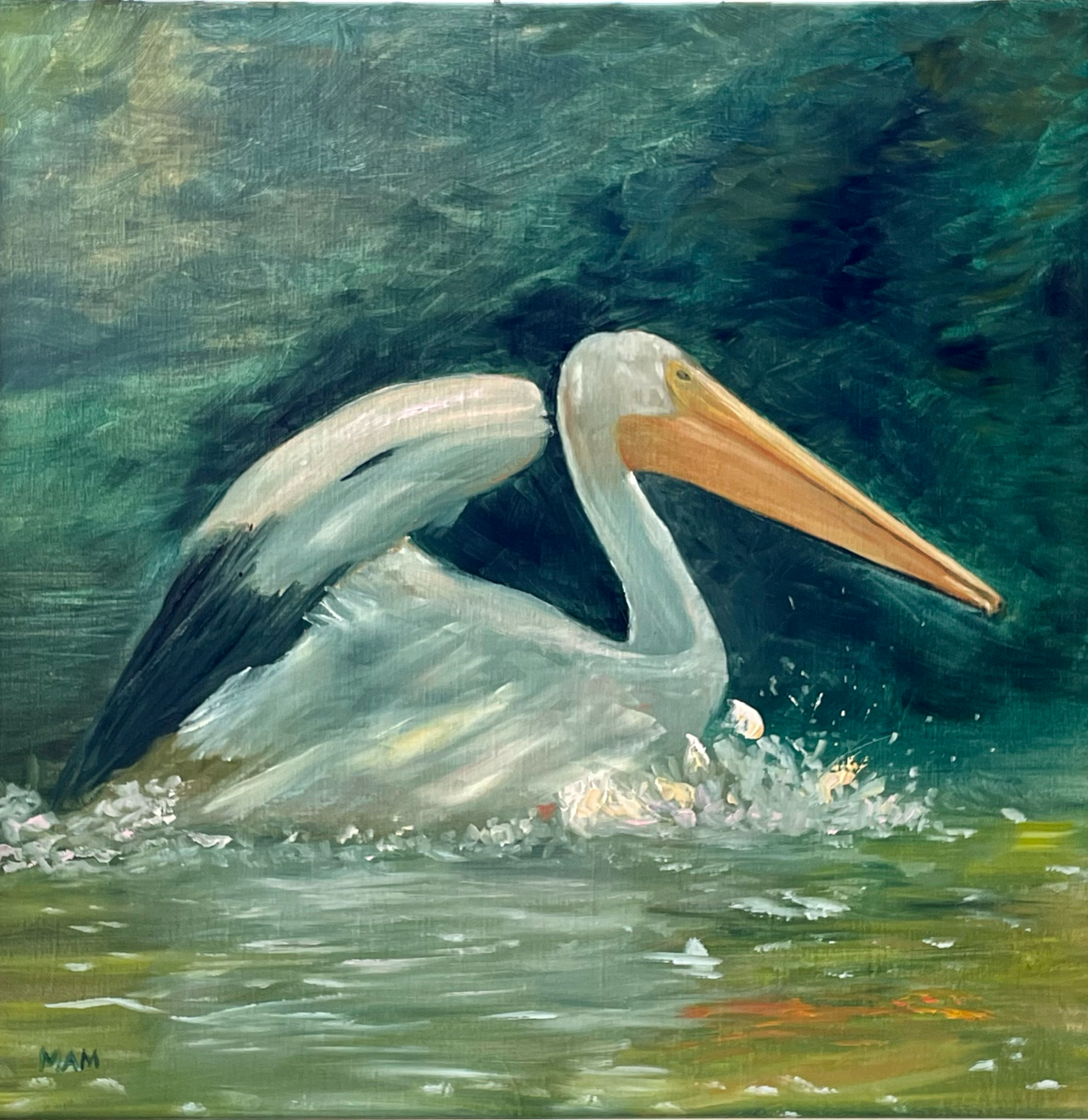 Painting of a pelican swimming in water, with its wings slightly raised and splashing water around.
