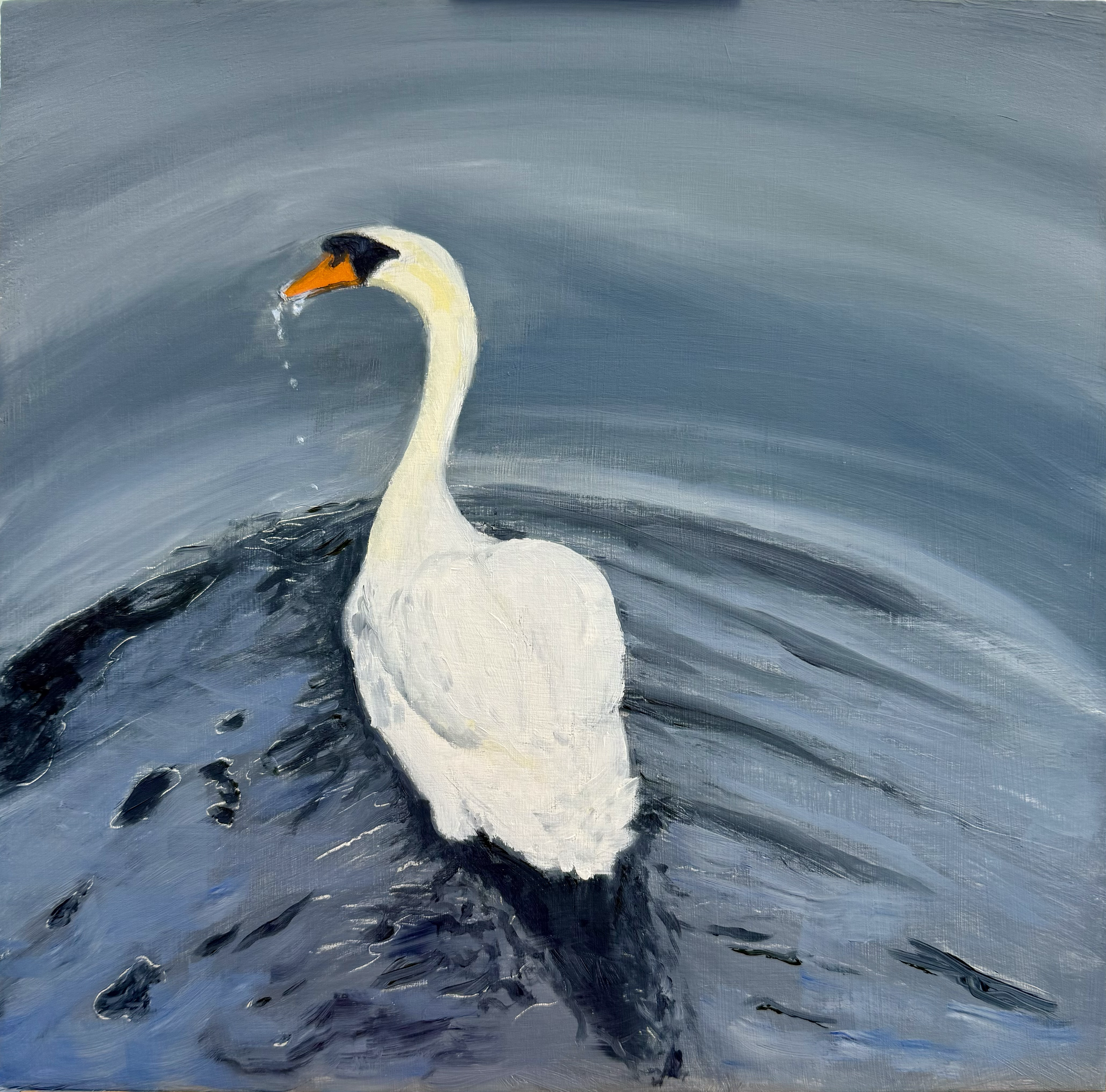 Painting of a white swan swimming in water with ripples, with a grayish-blue background.