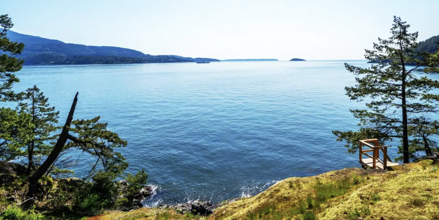 Screenshot 2026-01-20 at 1.12.39 PM.png