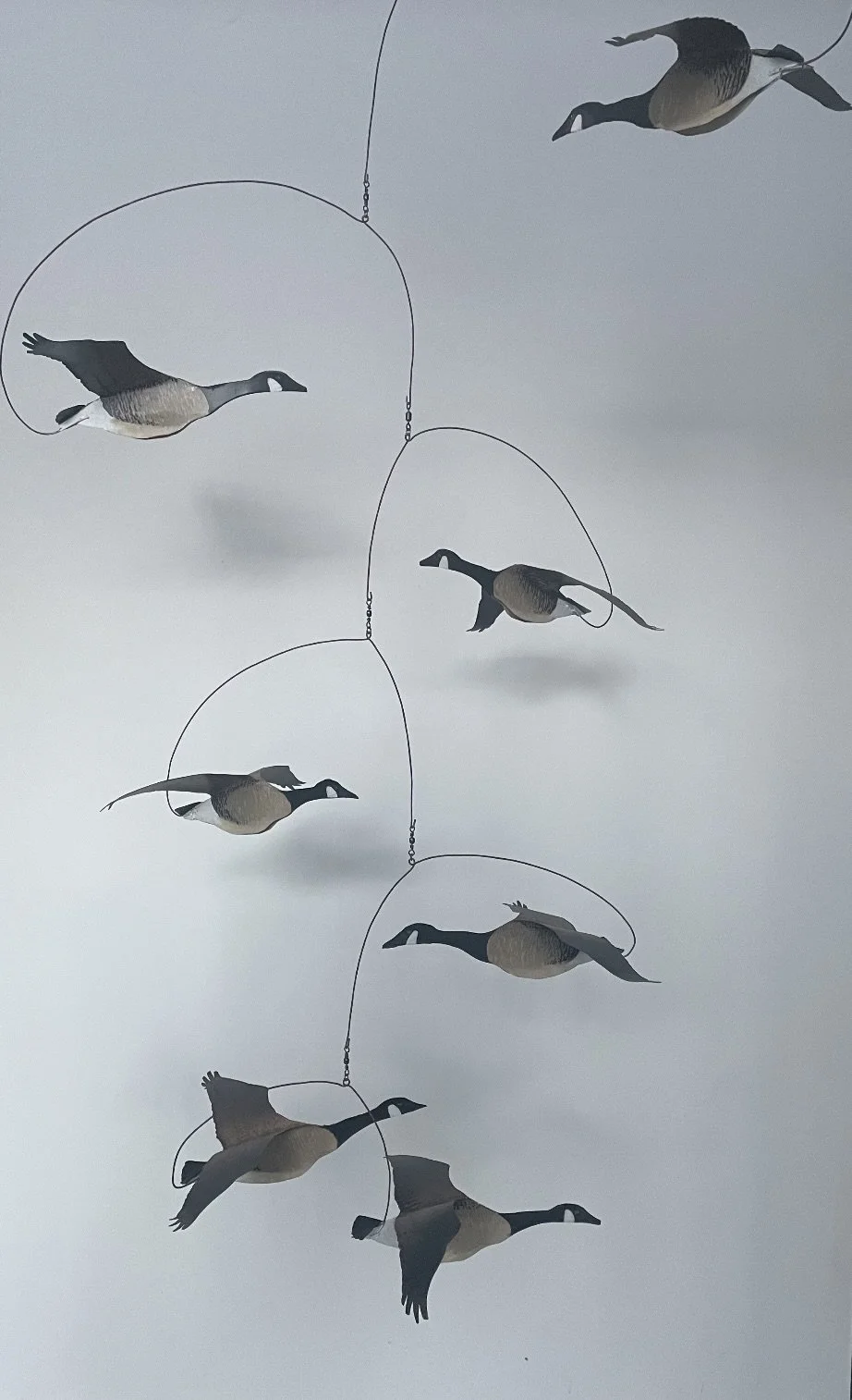 CC411DCB-EA18-400E-BB4C-9492AF8CE654 2.jpeg