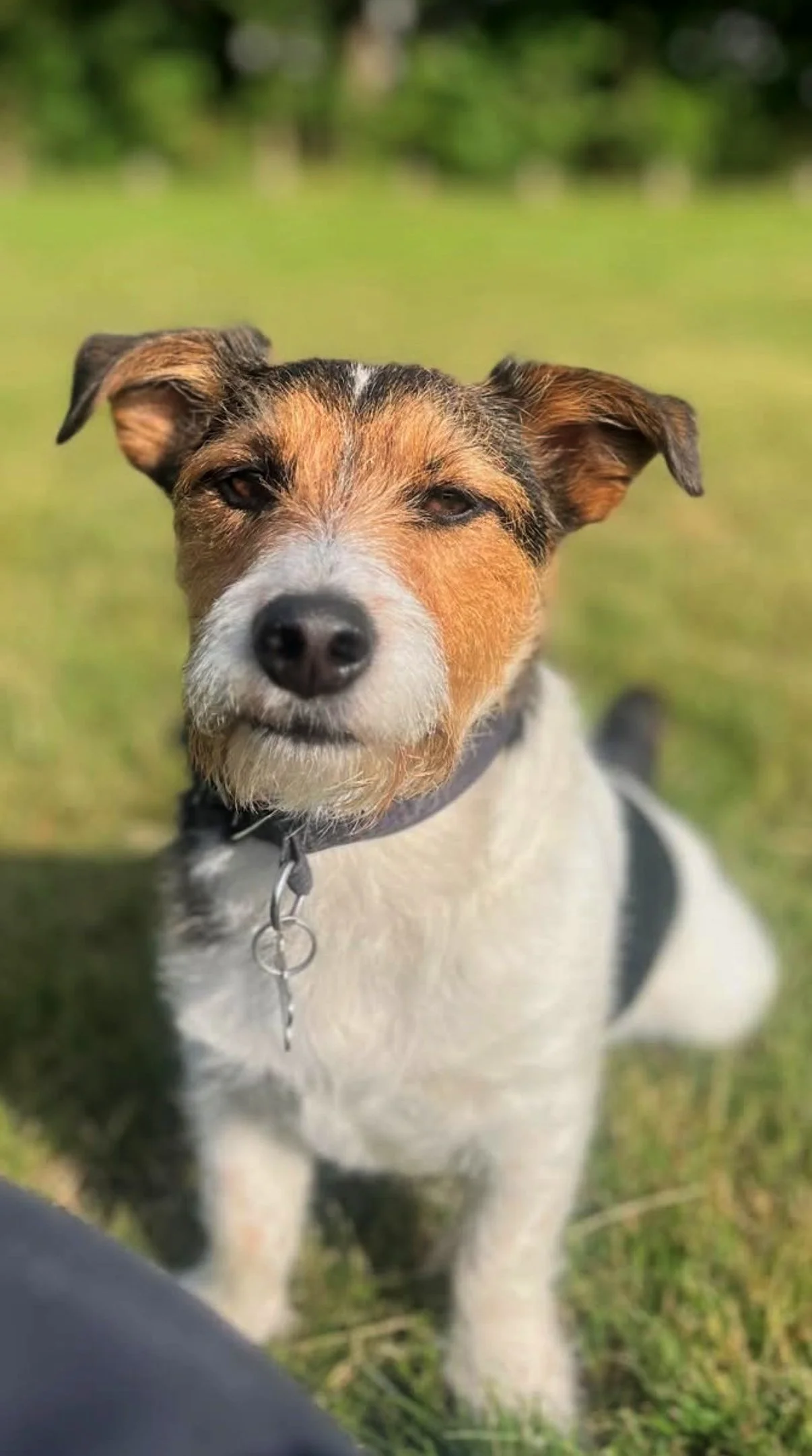 Monty