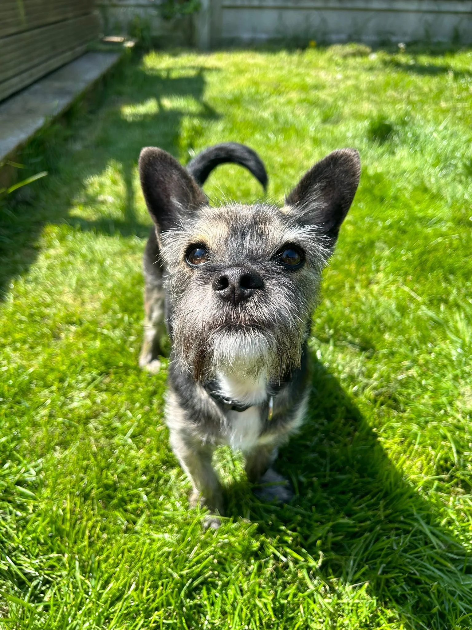 Pip