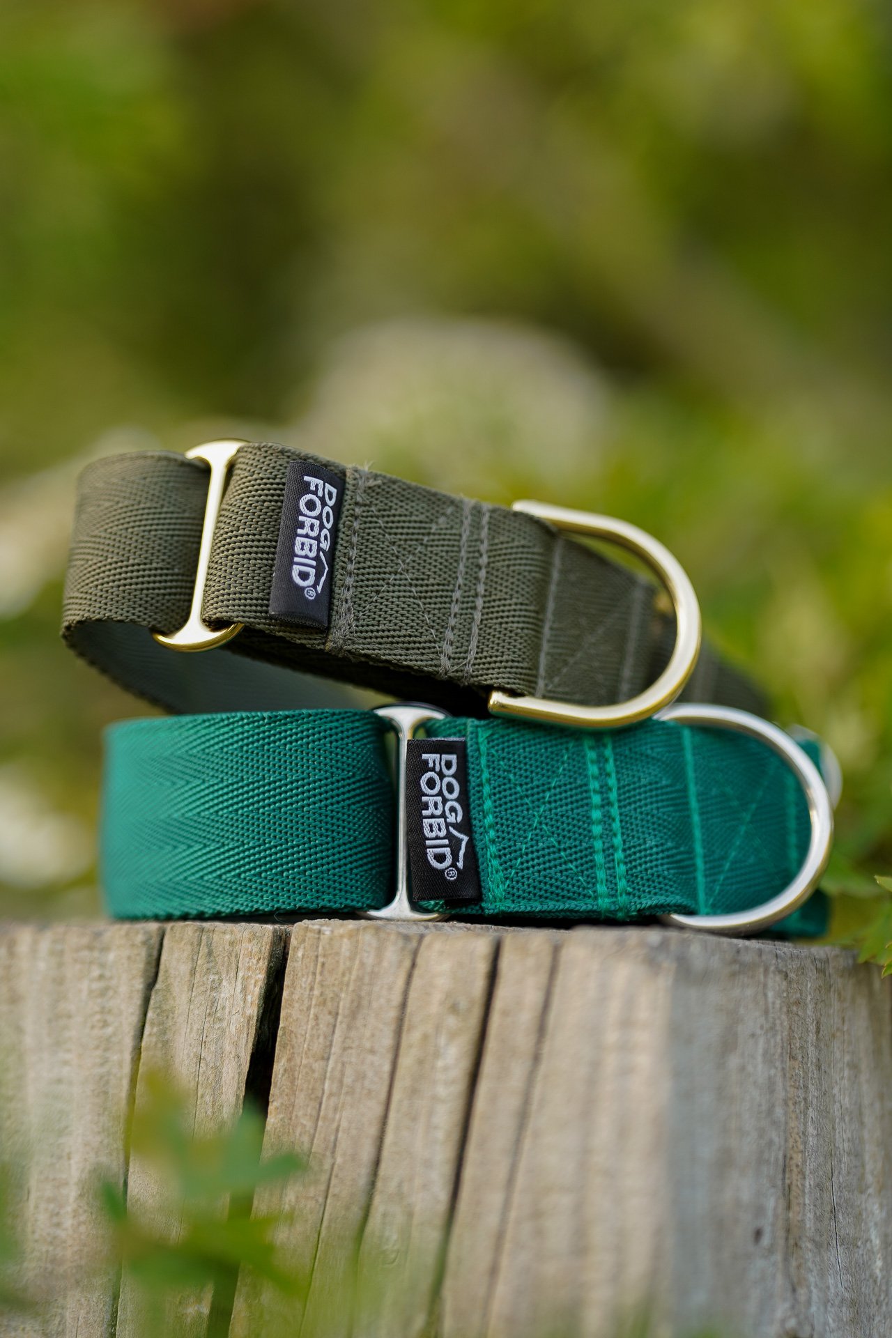 Light and dark green Dog Forbid martingale collars posed on a tree stump