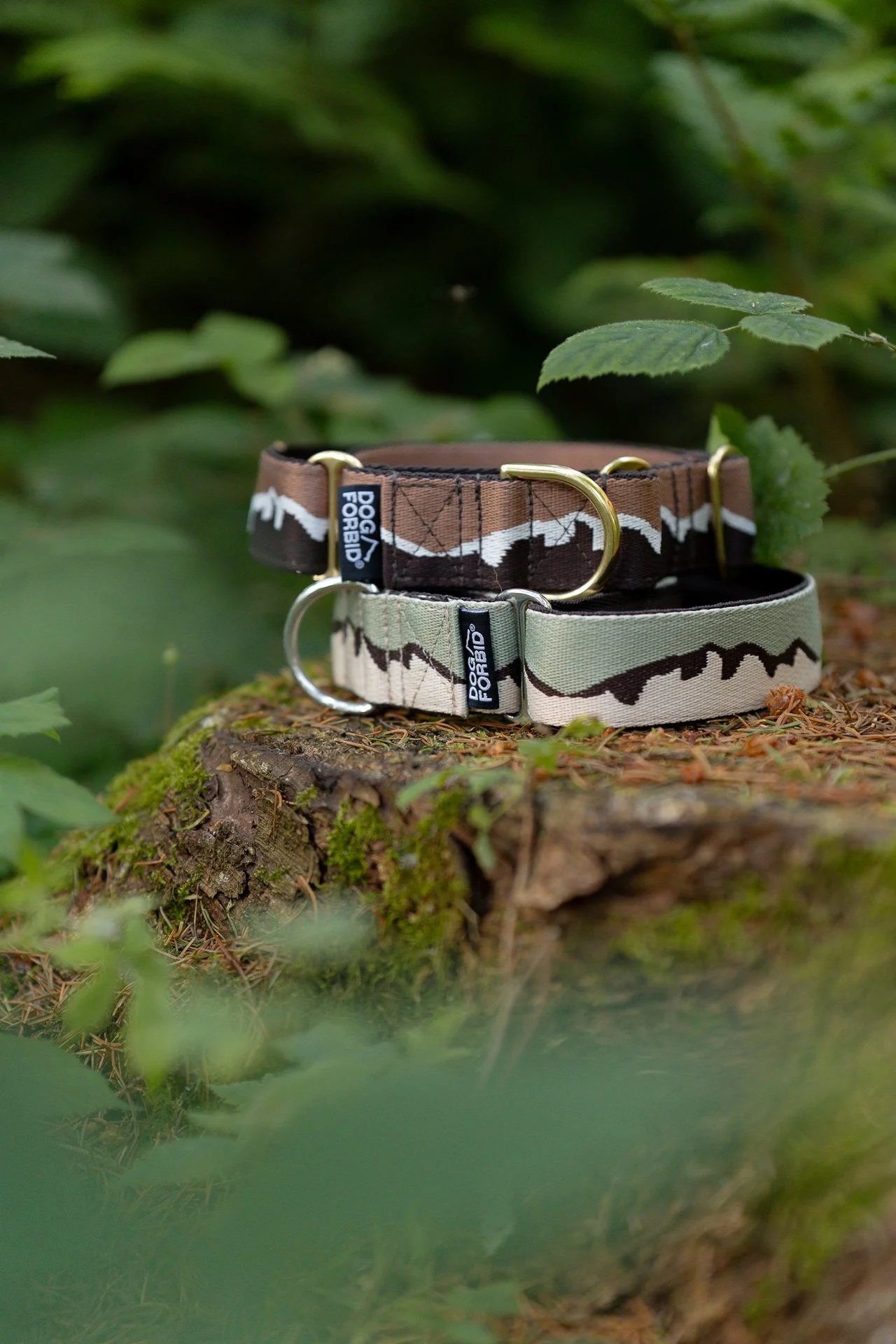 Mountain pattern Dog Forbid material martingale collars posed on a tree stump