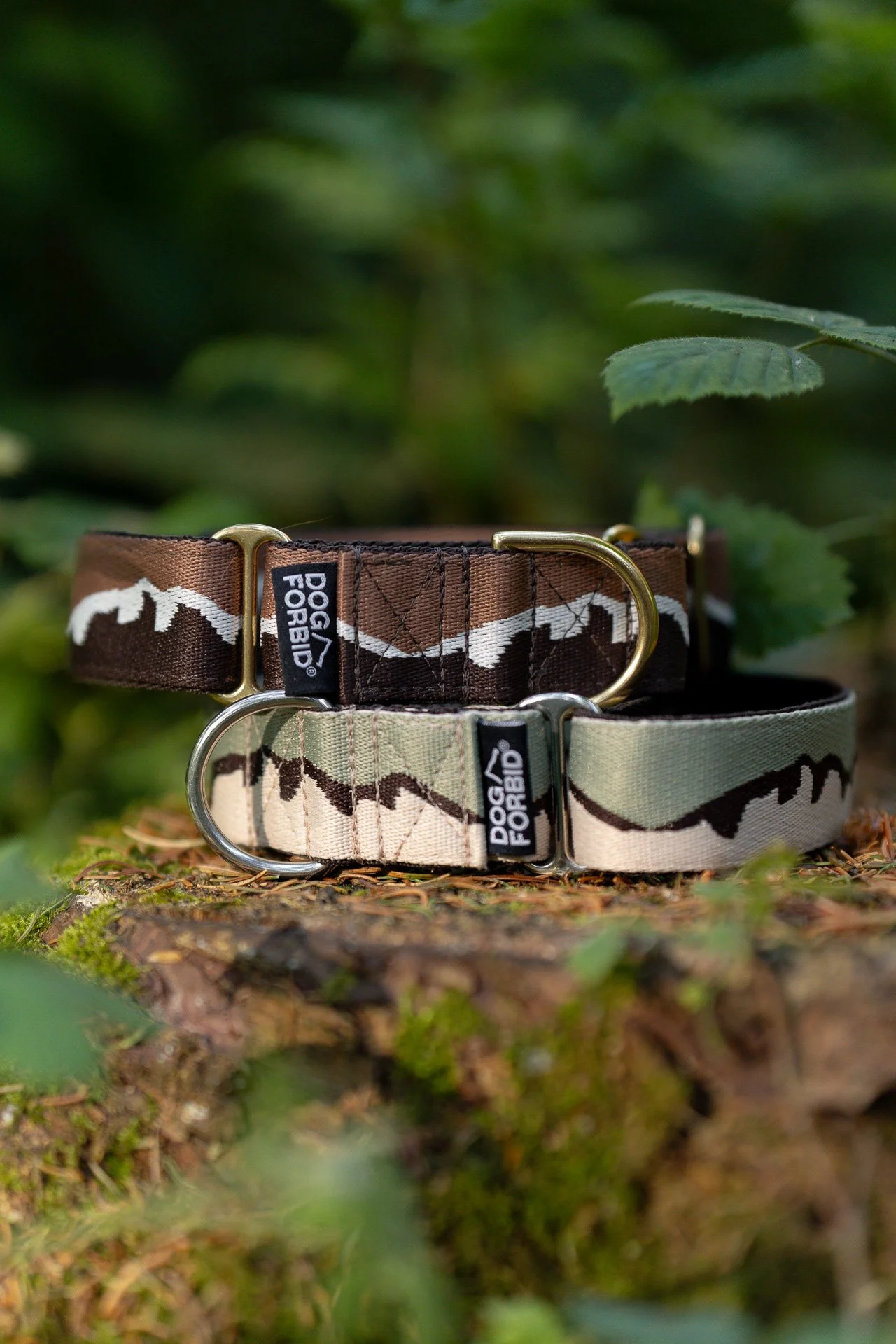 Mountain pattern Dog Forbid material martingale collars posed on a tree stump
