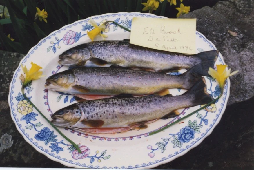 Acr766014213681216517642 copy.jpg