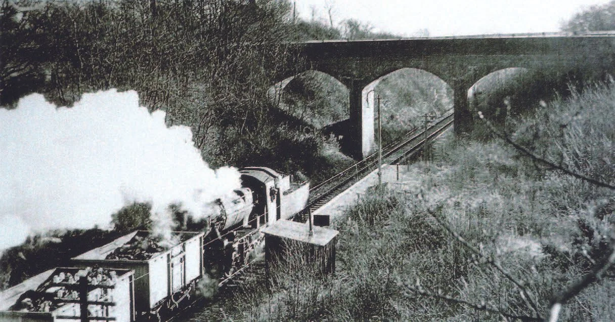 Goods train at Four Oaks Halt, 1963