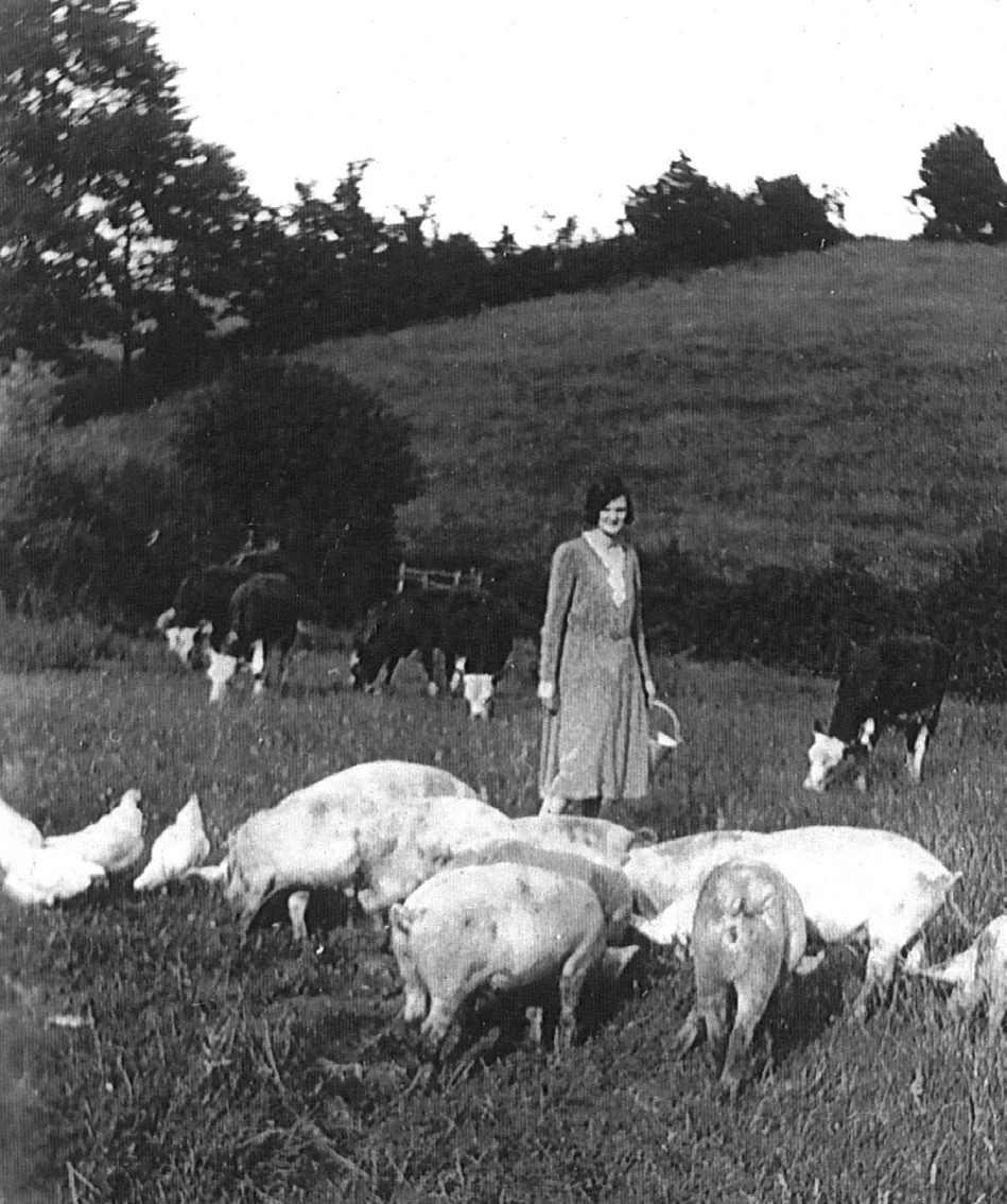 Florence (Flossie) Goulding feeding pigs and poultry at Holders Farm