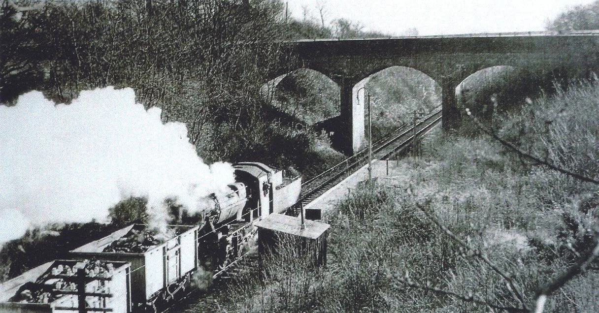 Goods steam train passing through Four Oaks Halt 1963