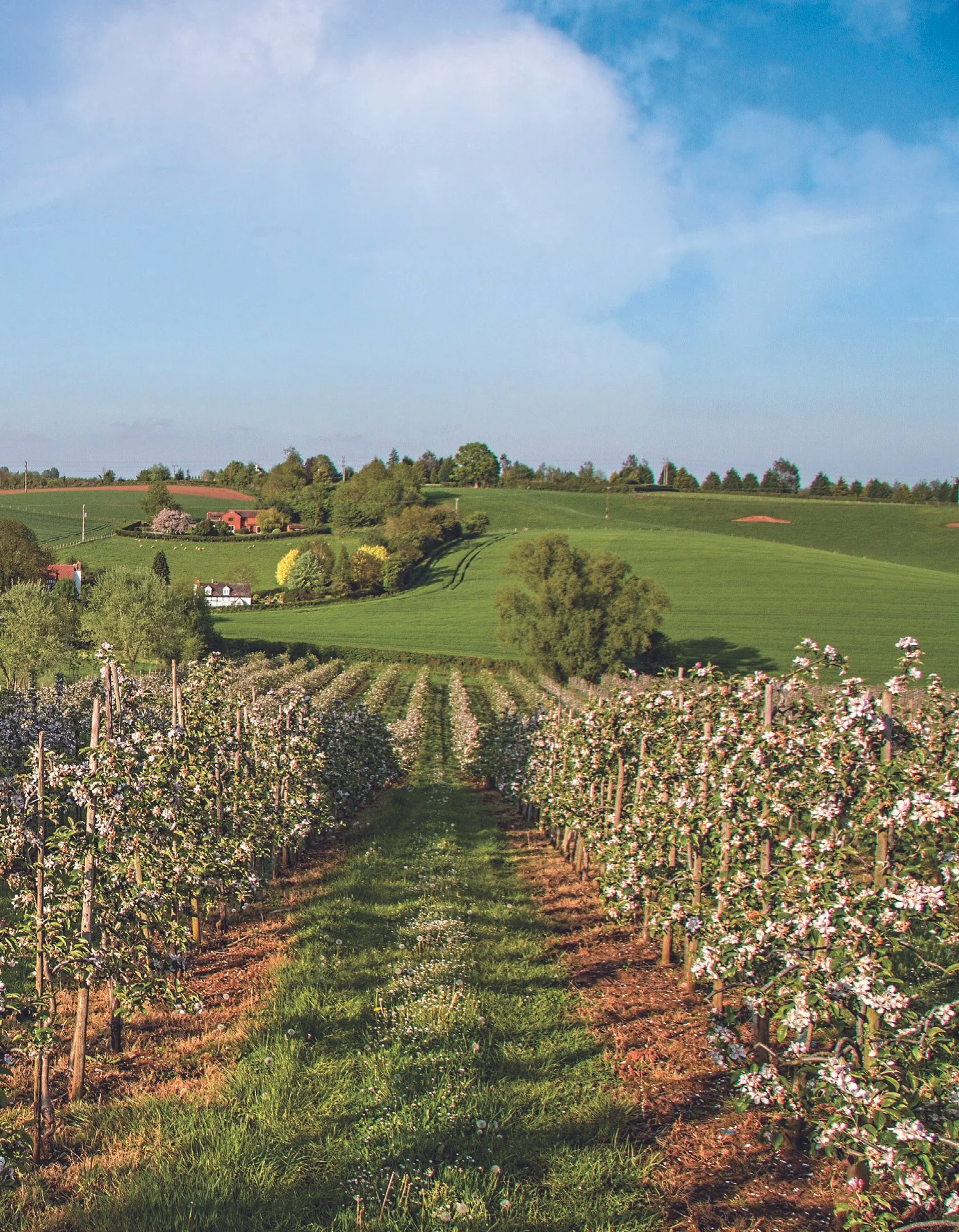 Oxenhall 1913-2013_Page_001_Image_0001.jpg