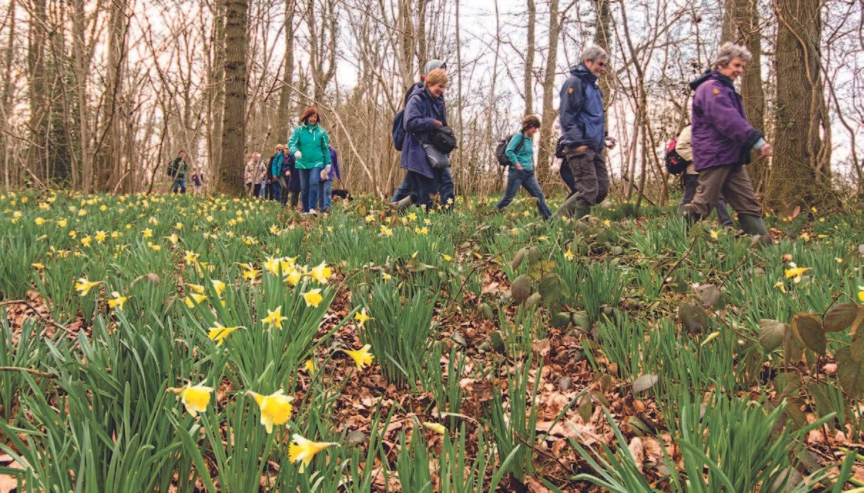 A Wildlife Trust walk in Betty Daw’s wood.jpg