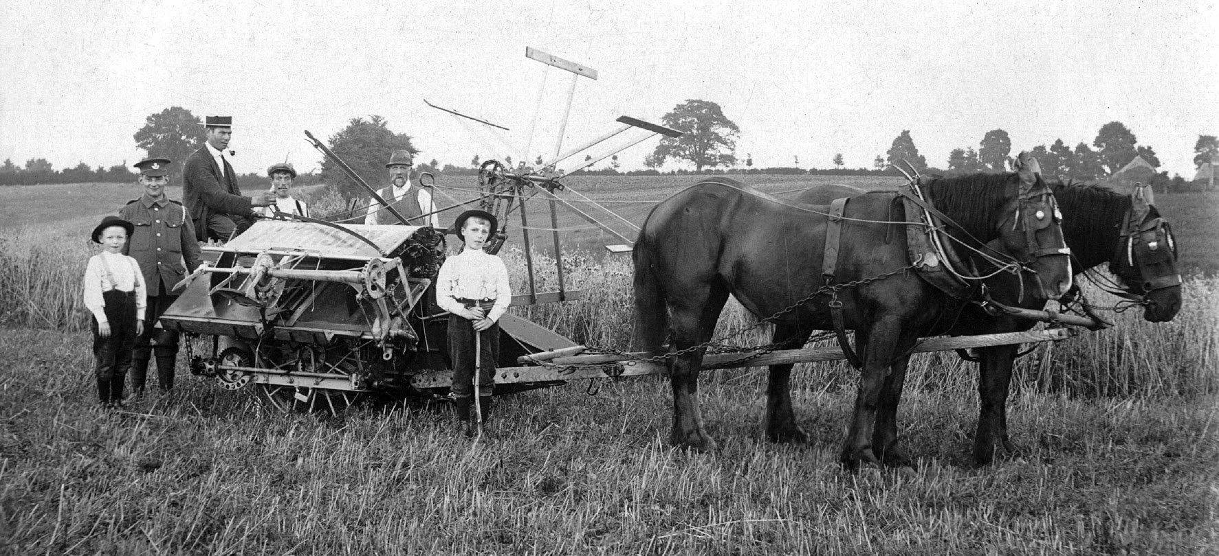 Soldier Albert Jones of Pella Farm, visiting Parks Farm at harvest time c.1918