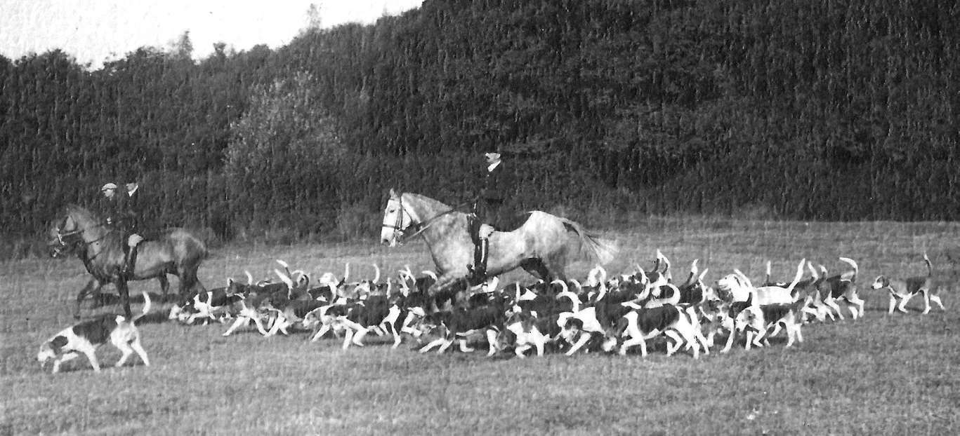 Ledbury Hunt at Pound Farm