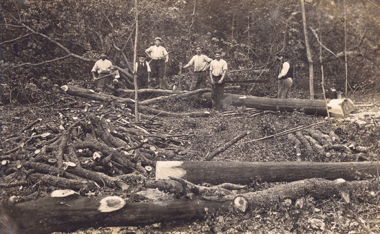 Workmen cutting ash used in the production of wooden wheel spokes