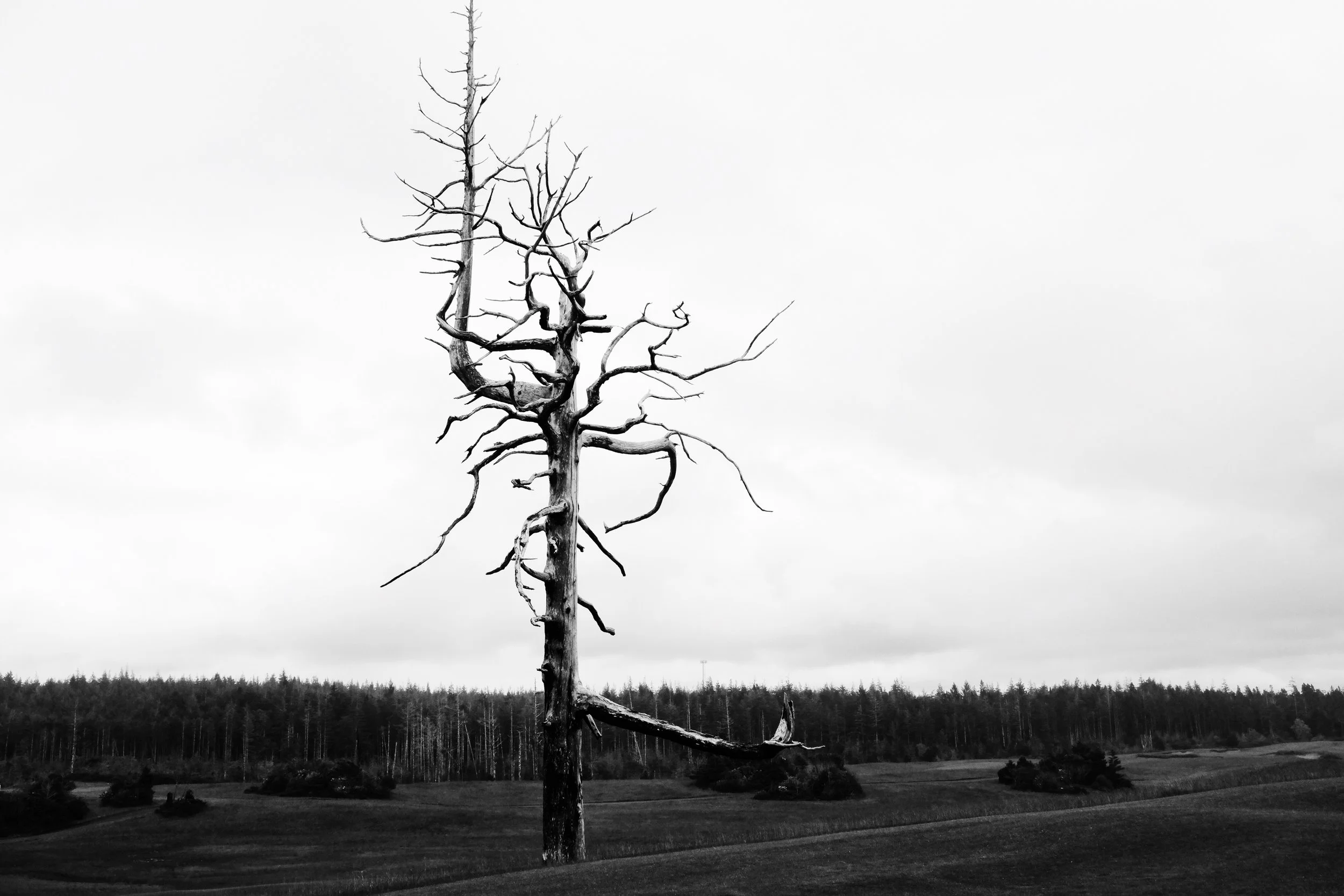 Premarital Counseling Package