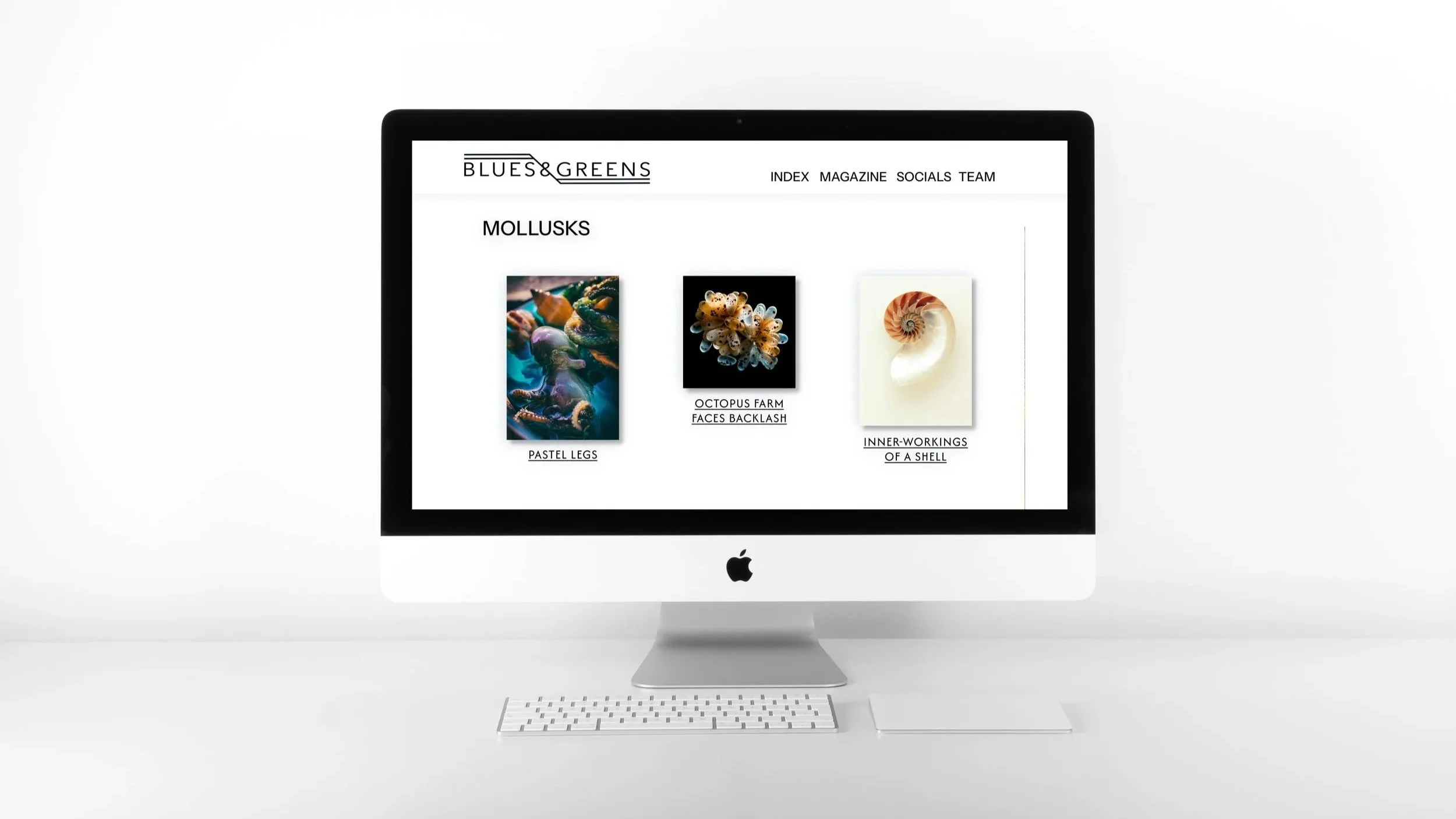 A white iMac computer with a website on the screen showing a section titled 'MOLLUSKS' with images of sea creatures called pastel legs, octopus farm faces backlash, and inner workings of a shell, displayed against a minimalist white background.