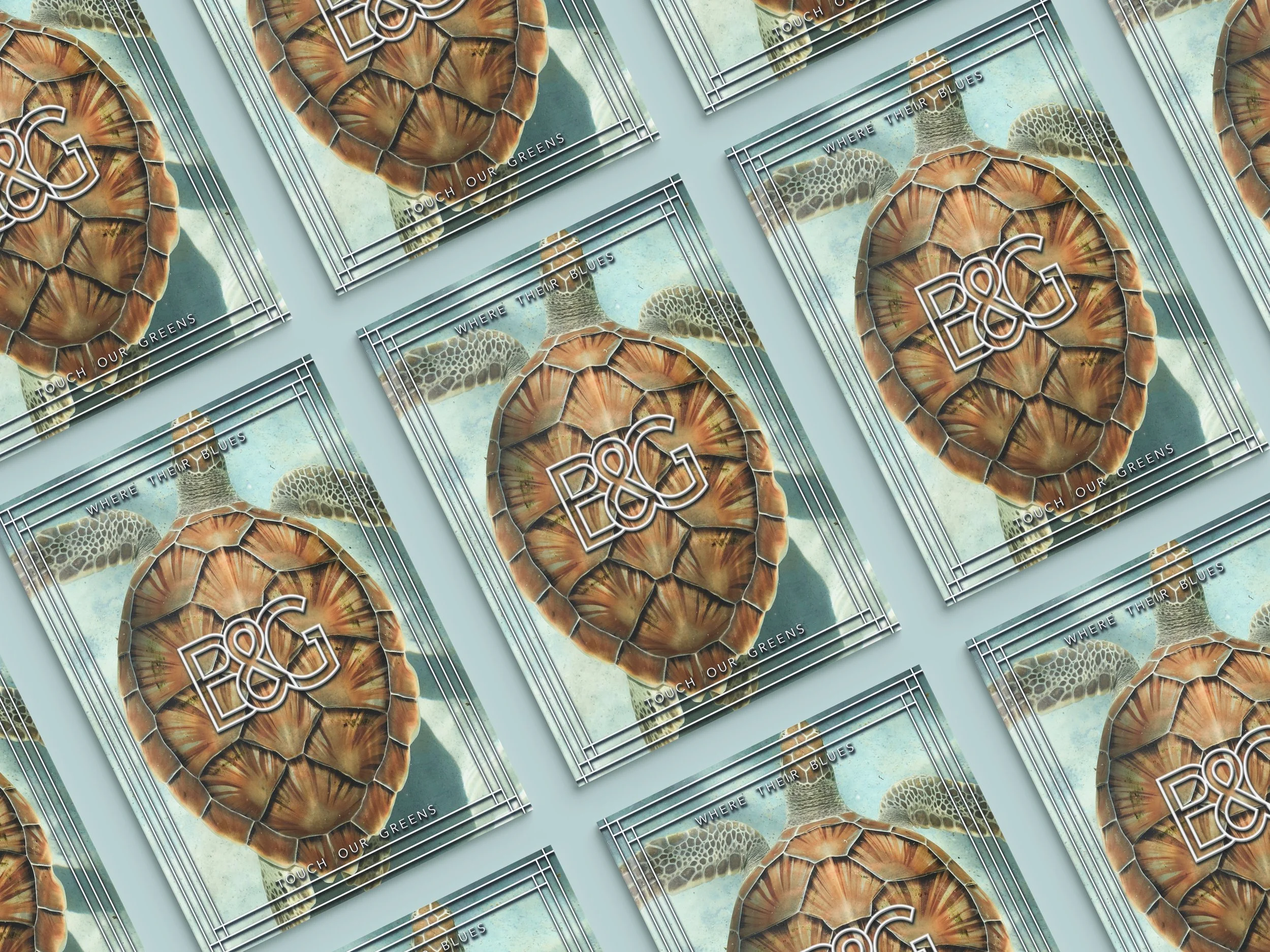 Multiple identical postcards featuring a turtle shell, with the logo 'P&G' in the center and the text 'Touch Our Greens' and 'Where Their Blues'.