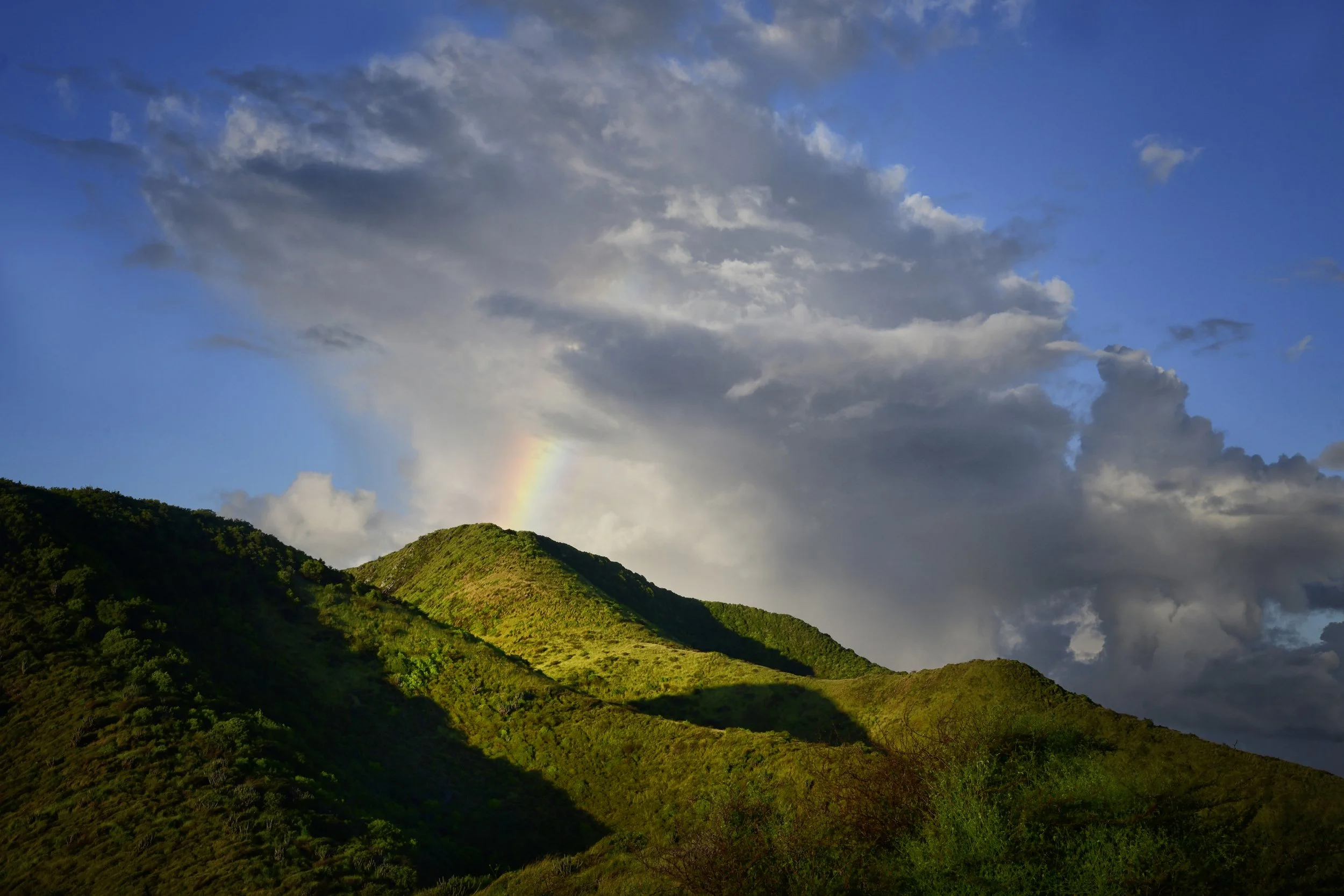 Green hillside with sunlight, dark clouds and a partial rainbow in the sky.