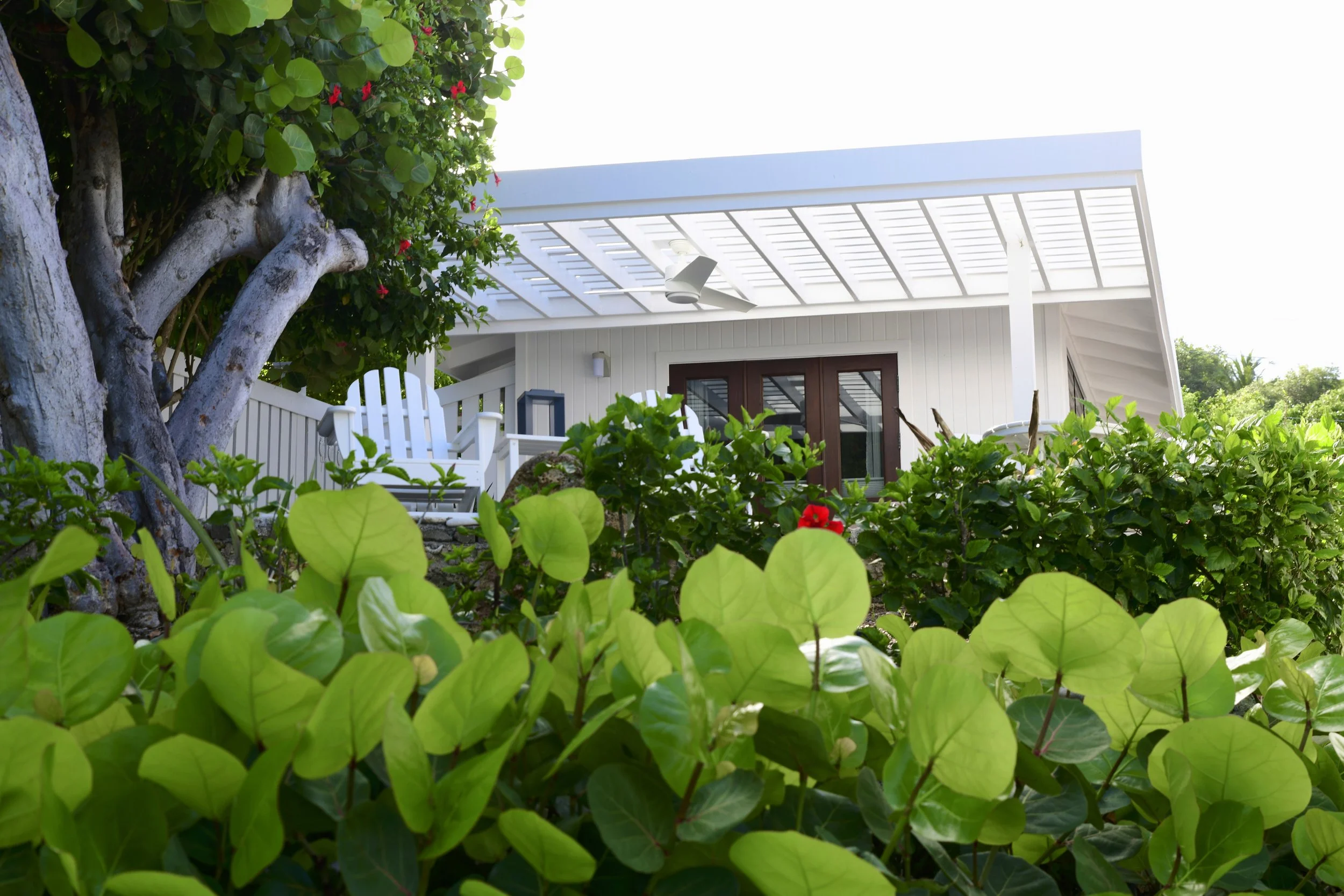 A white house with a covered porch, brown double doors, and a ceiling fan, partially obscured by lush green foliage and plants in the foreground.