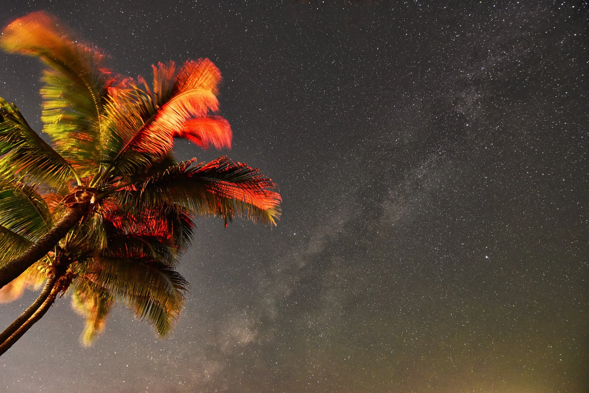 Palm trees illuminated with red and yellow lights under a starry night sky showing the Milky Way.