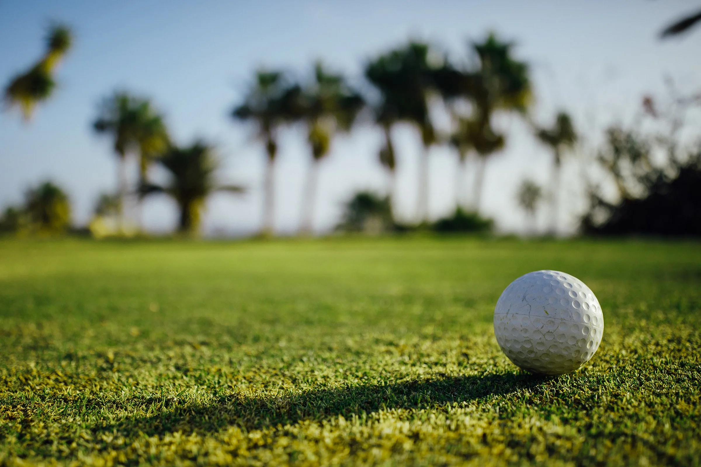 A golf ball resting on a grassy green golf course with palm trees in the background and a shadow cast on the grass.