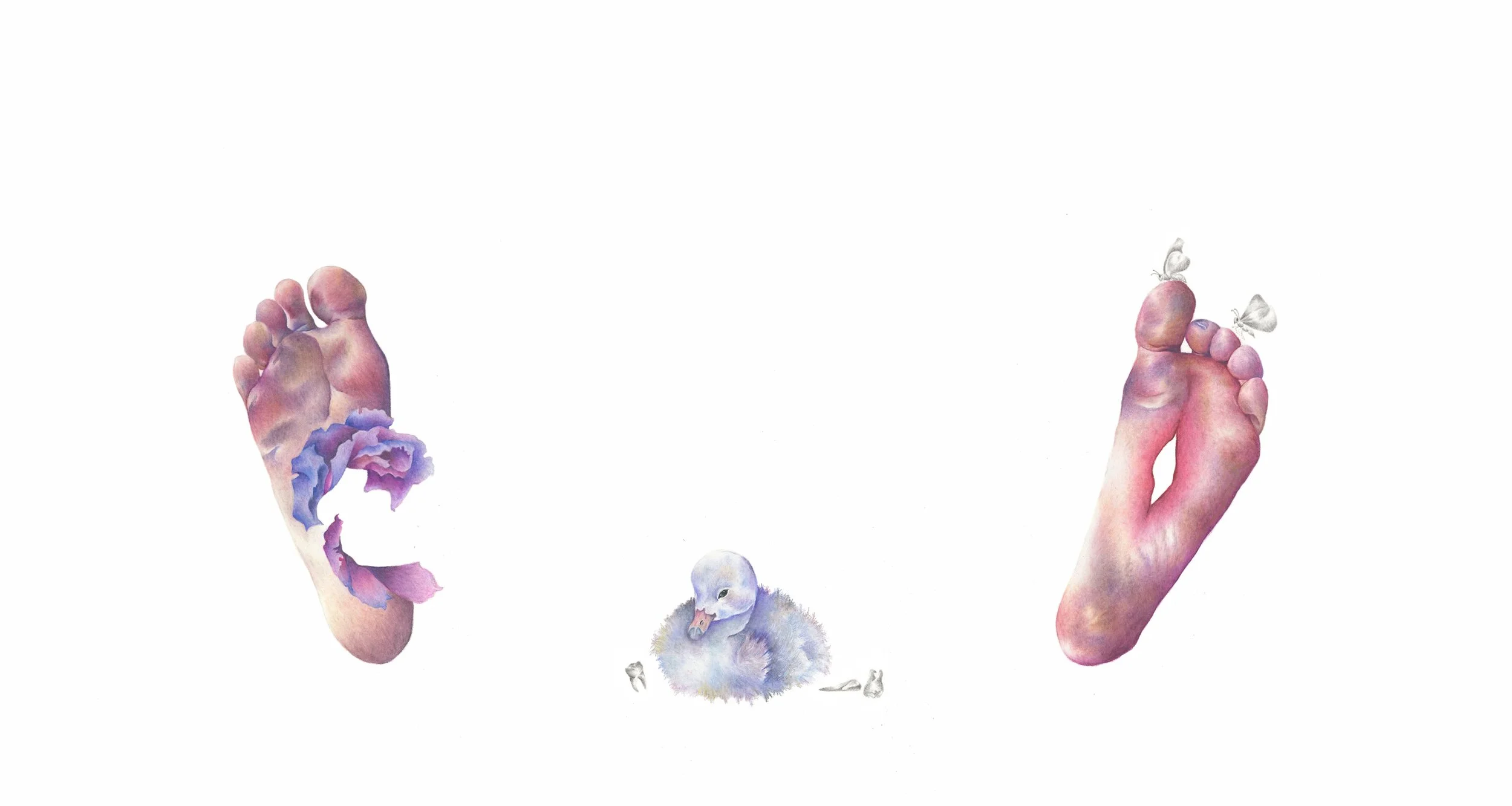 Baby Teeth: colored pencil. 16 X 30 inches, 2019