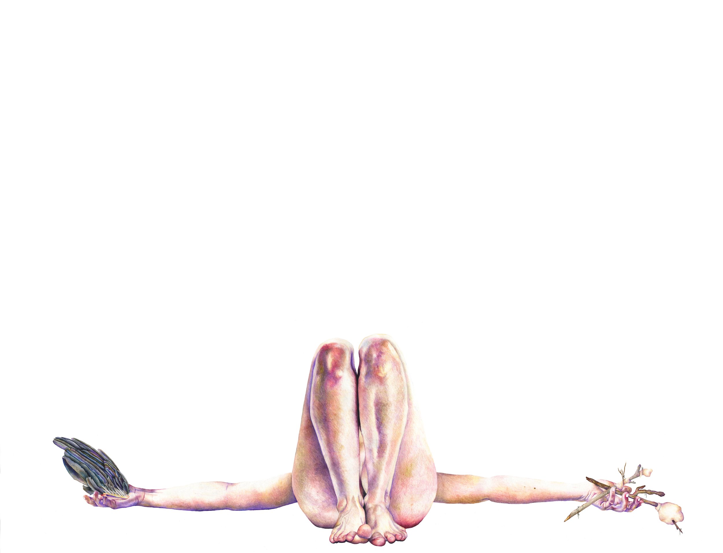 Give Yourself: colored pencil, 38 X 50 inches