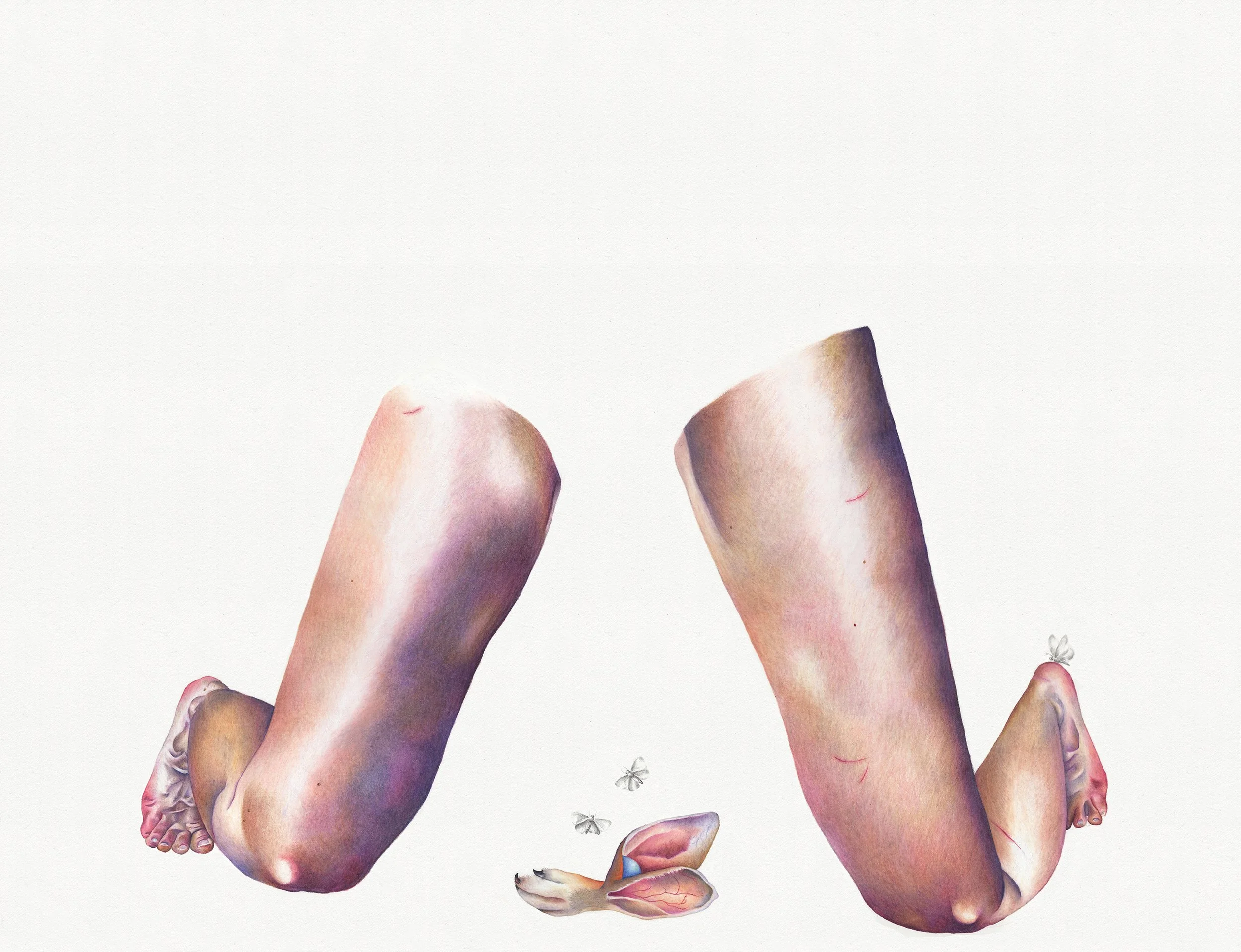 She Who Births Monsters: colored pencil, 25 X 32.5 inches, 2020