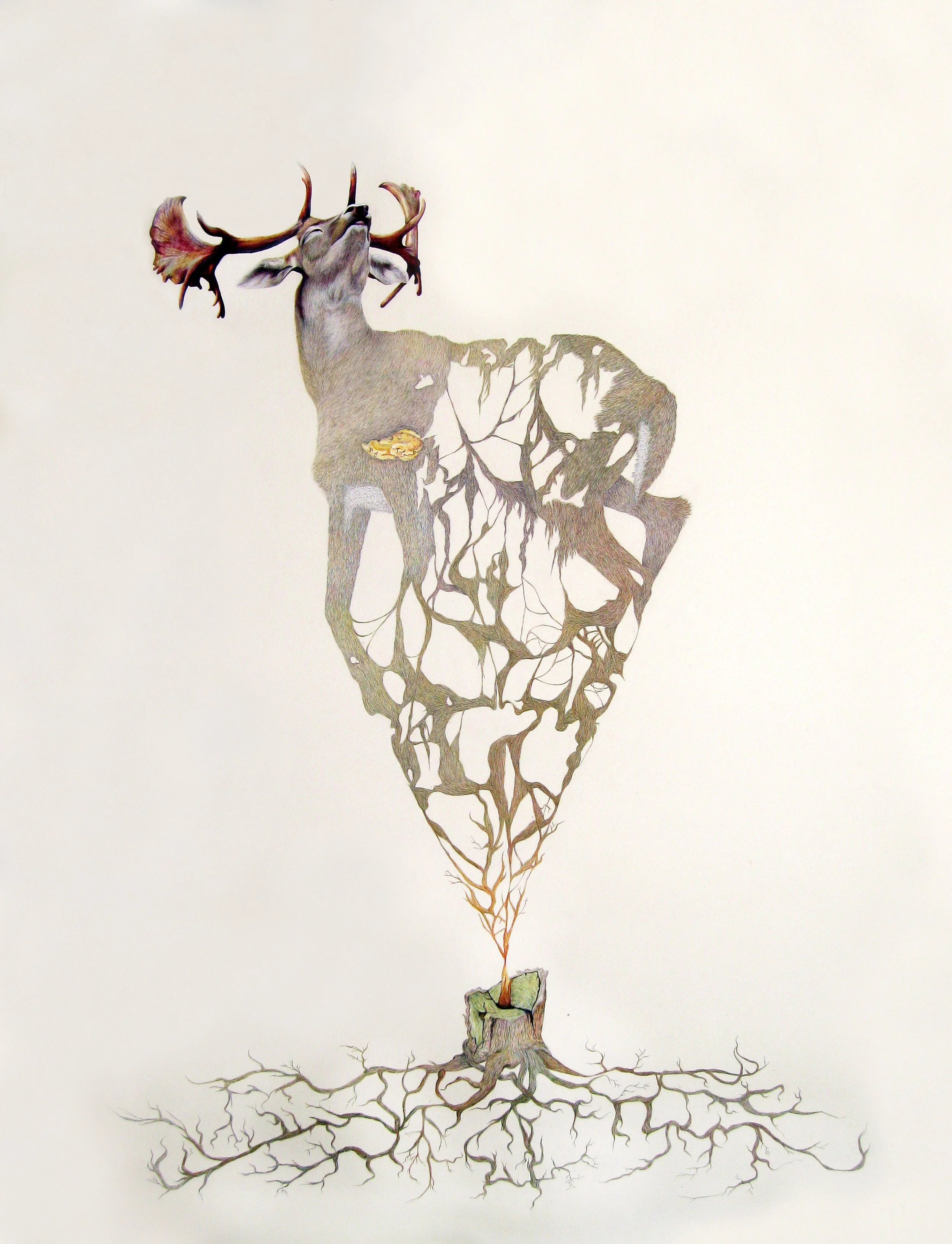 From Ash: colored pencil, 50 X 38 inches