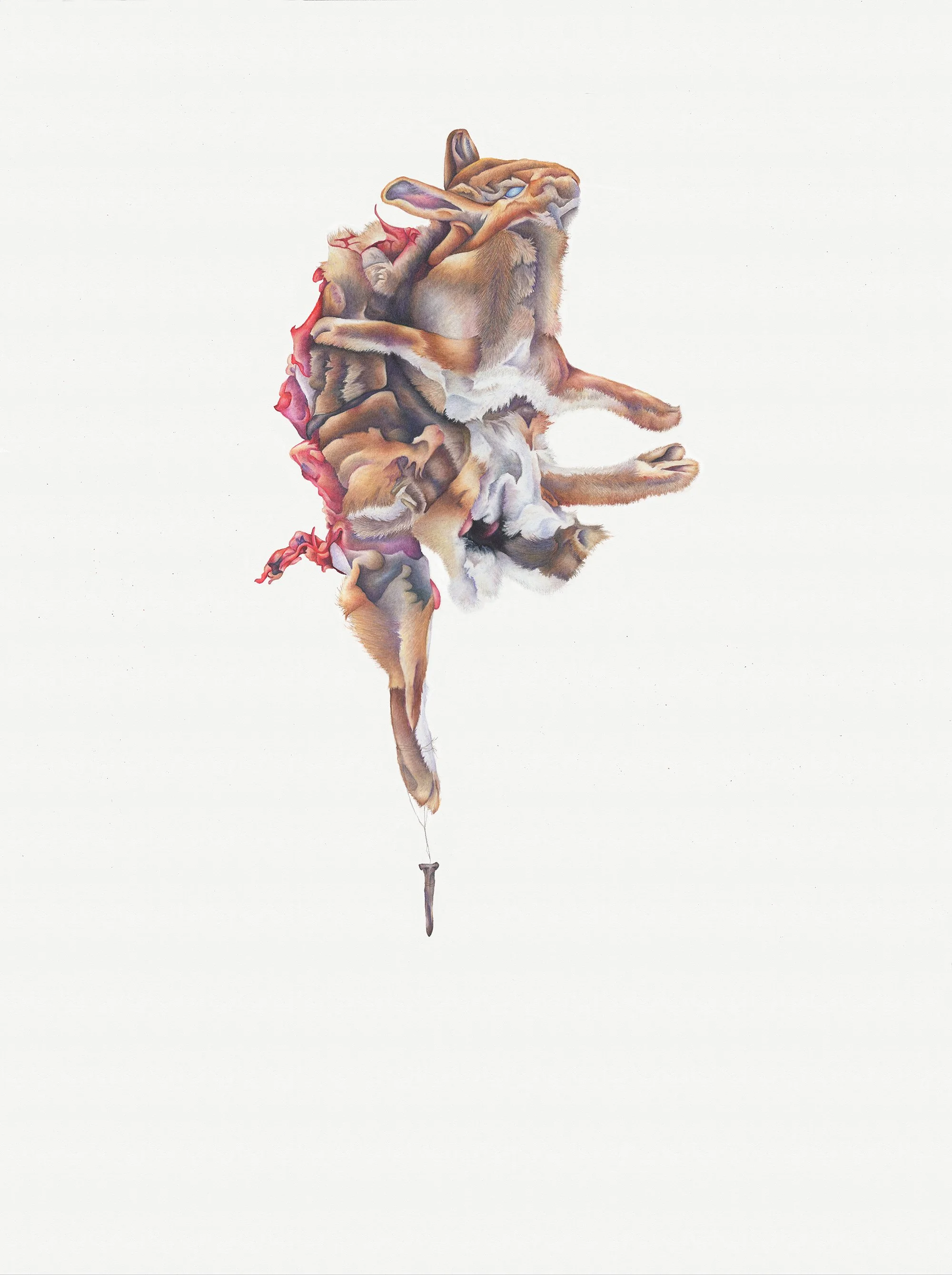 A Different Kind of Sober: colored pencil, 30 X 22 inches, 2020