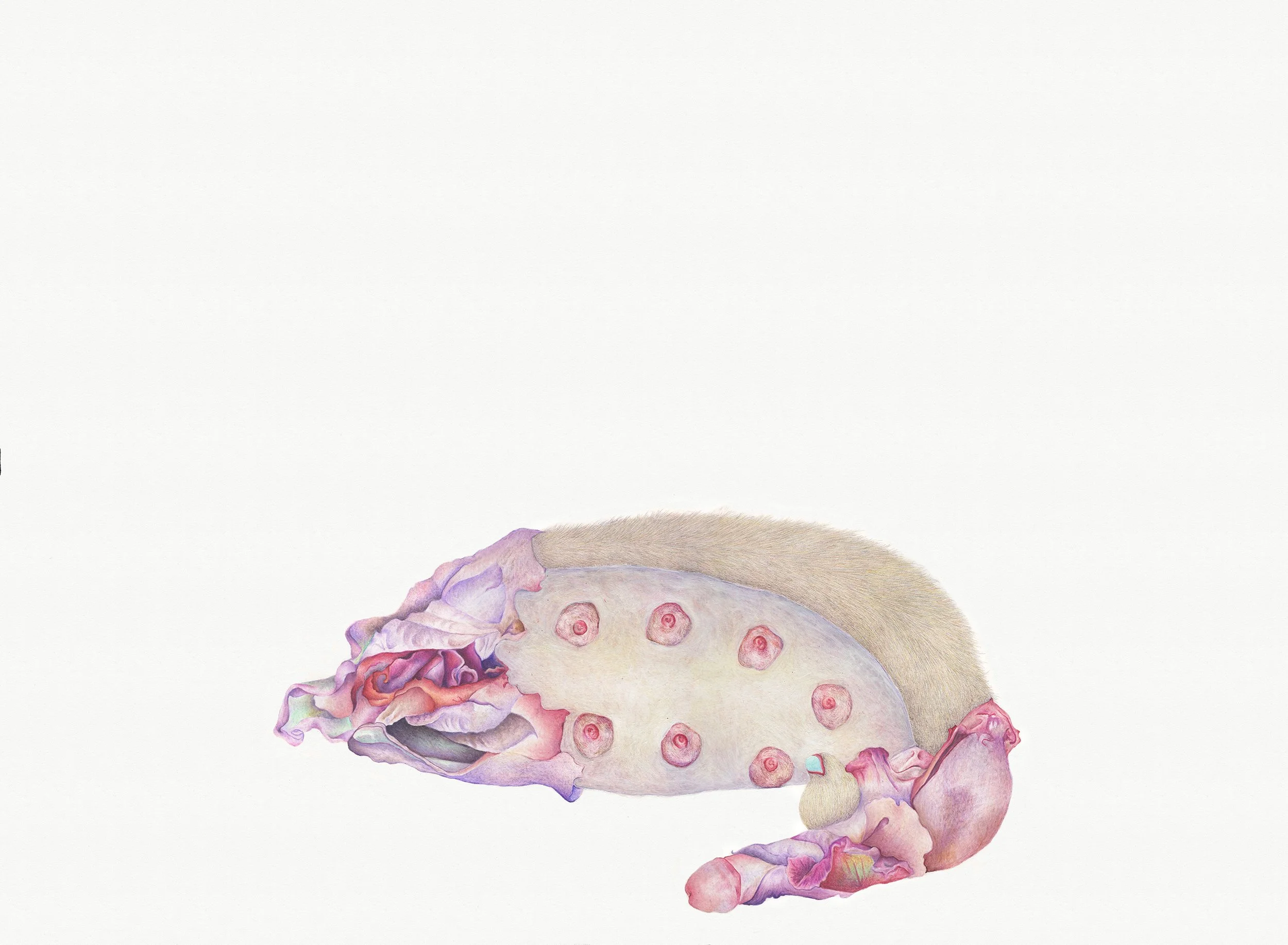 Prosthesis: colored pencil, acrylic, milk, and gloss mediums, 22 X 30 inches