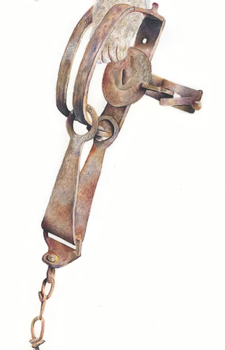 hourglassD5.jpg