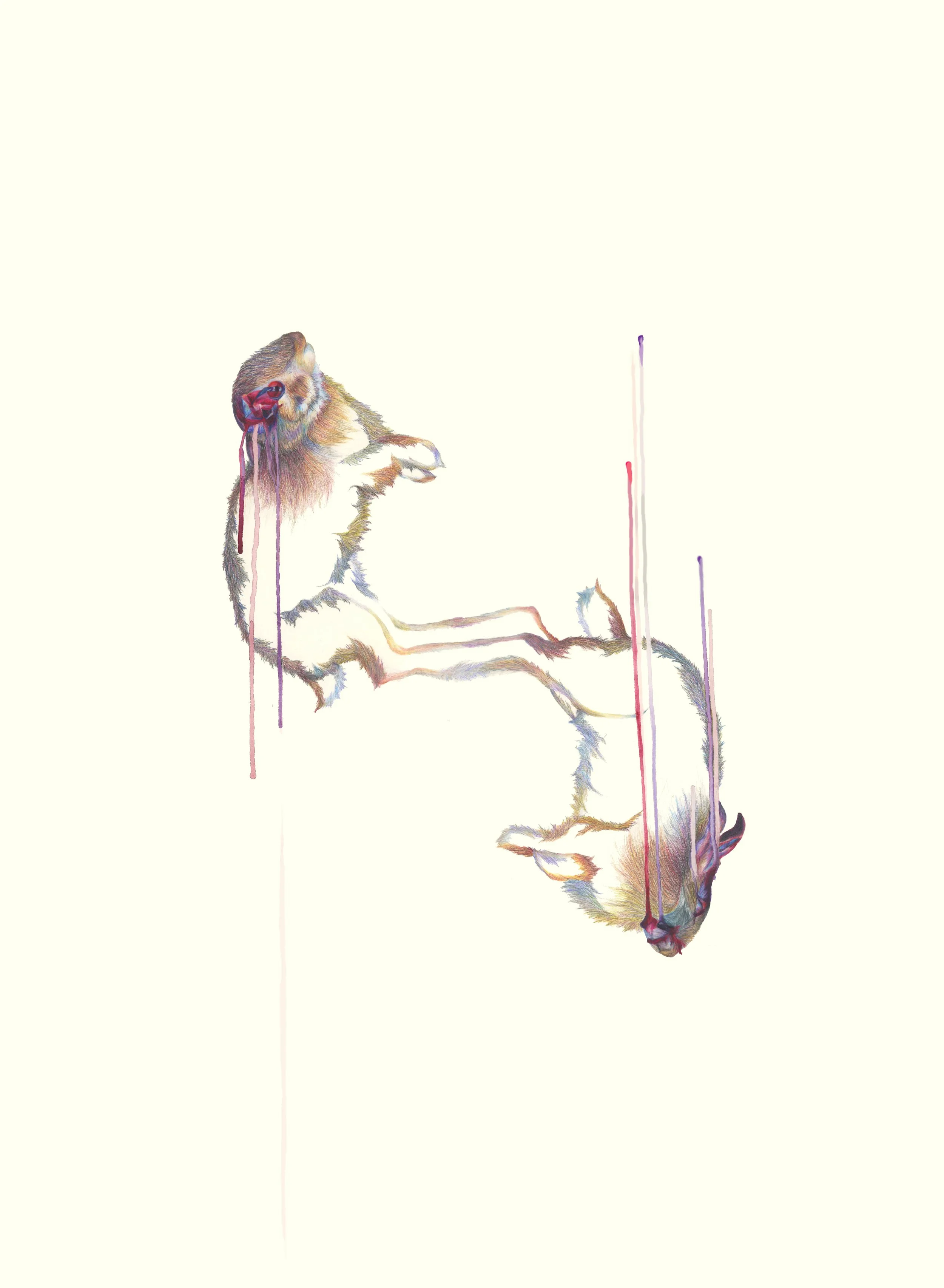 Mobile: colored pencil and watercolor, 30 X 22 inches, 2011