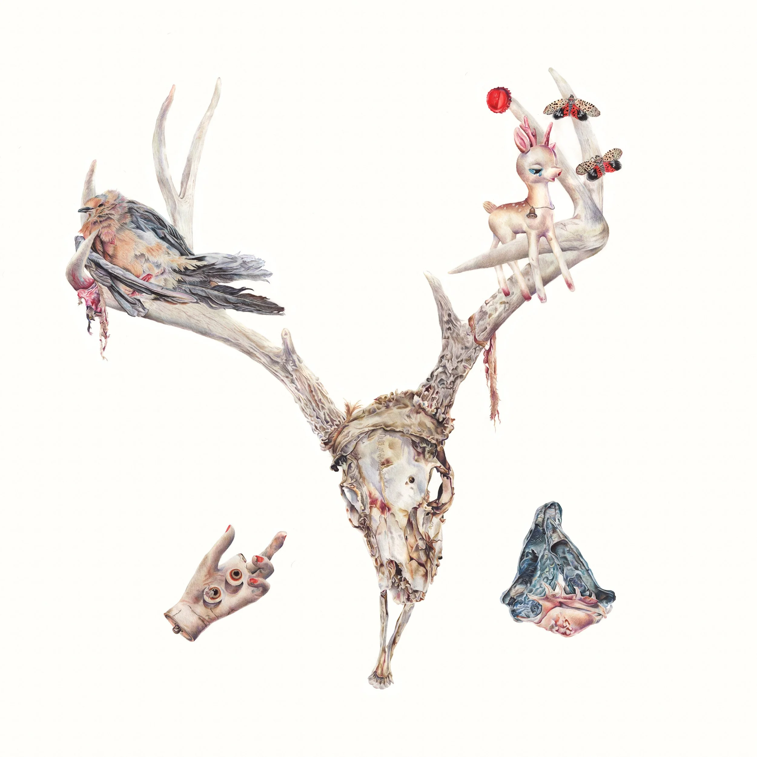 Echoes: colored pencil, 36 X 34 inches