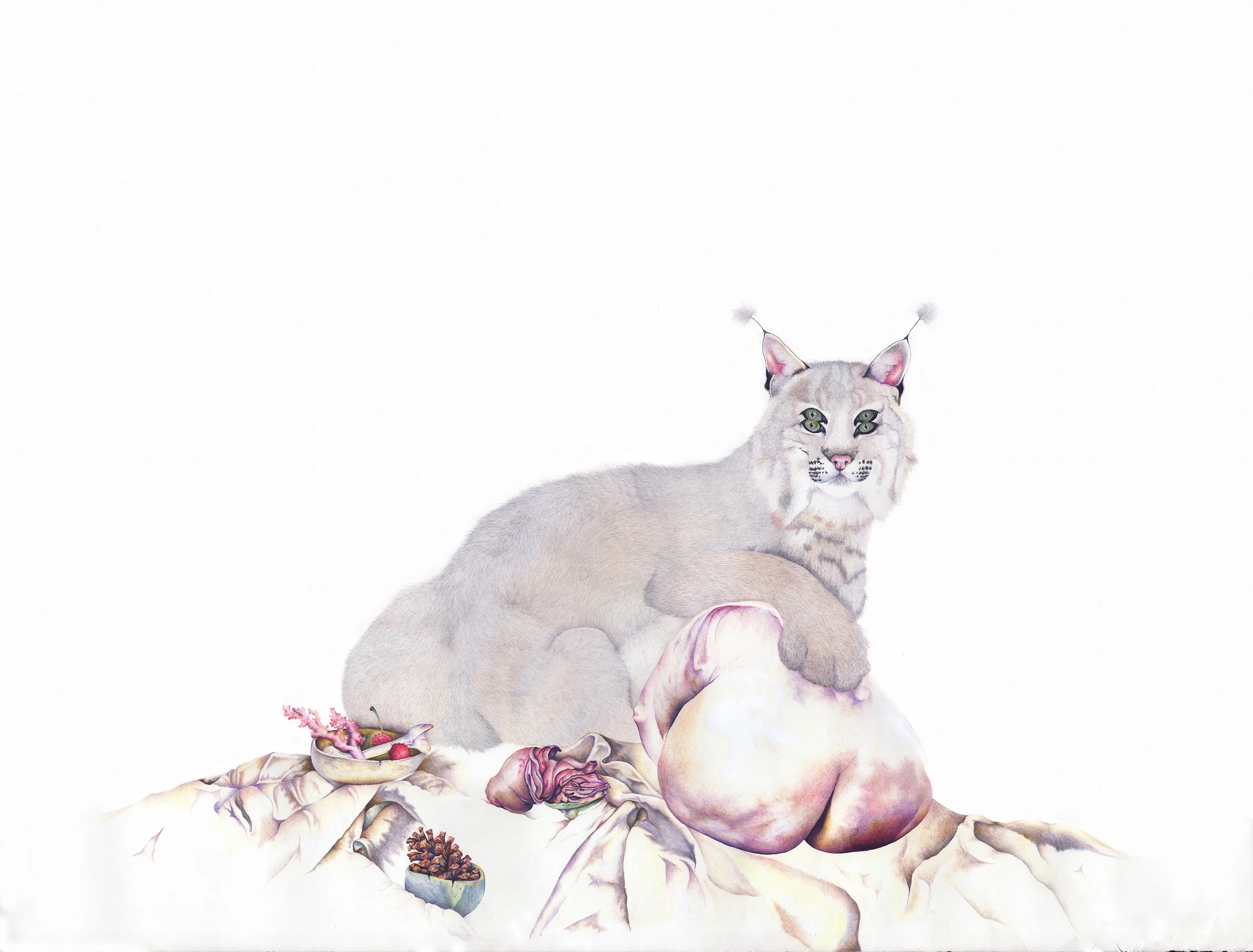 Repeating Our Dance: colored pencil, 38 X 50 inches