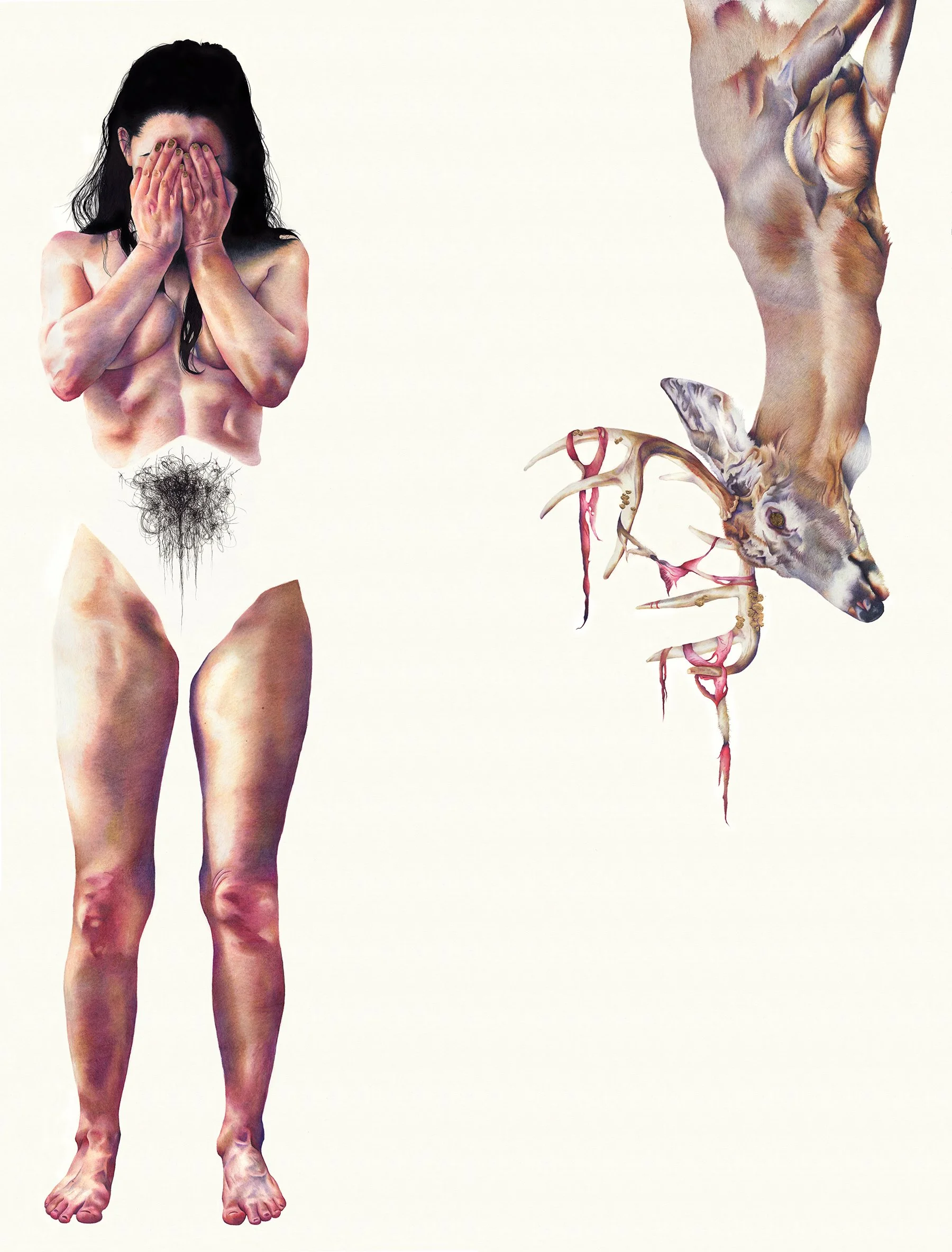 Tonic Immobility: colored pencil, marker, and gold leaf, 50 X 38 inches, 2021