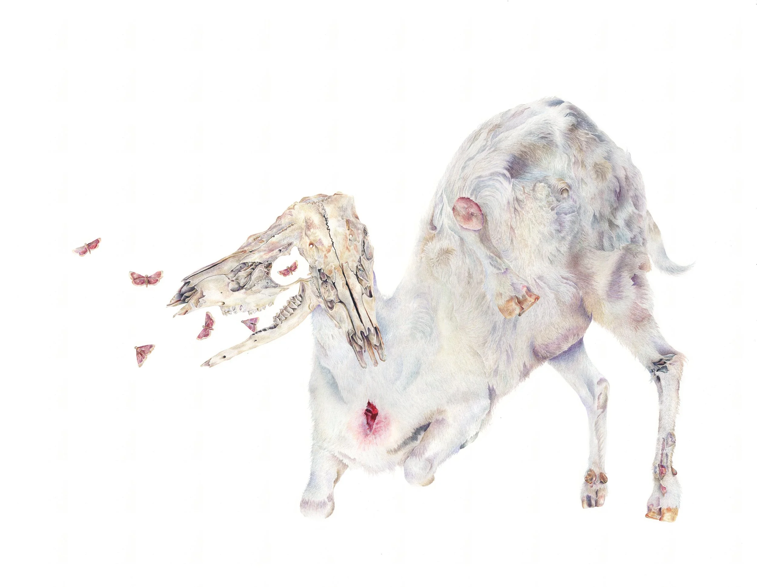 Prostration: colored pencil