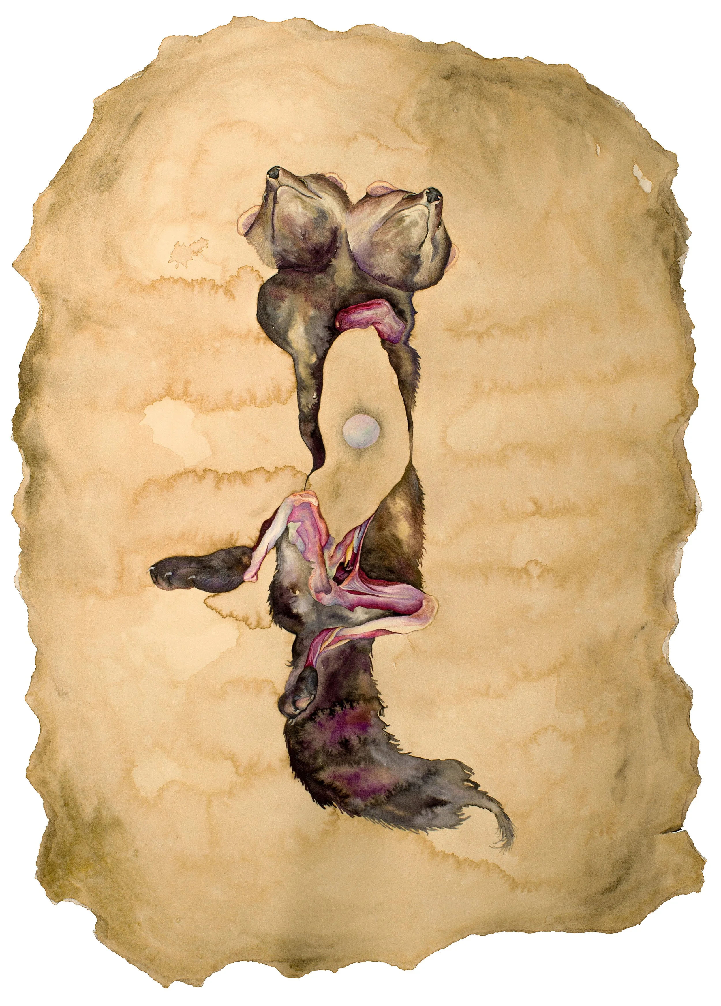 Cosmology: coffee, walnut ink, gouache, metallic pigment, watercolor, graphite, and colored pencil on torn paper ~29 X 20.5 inches