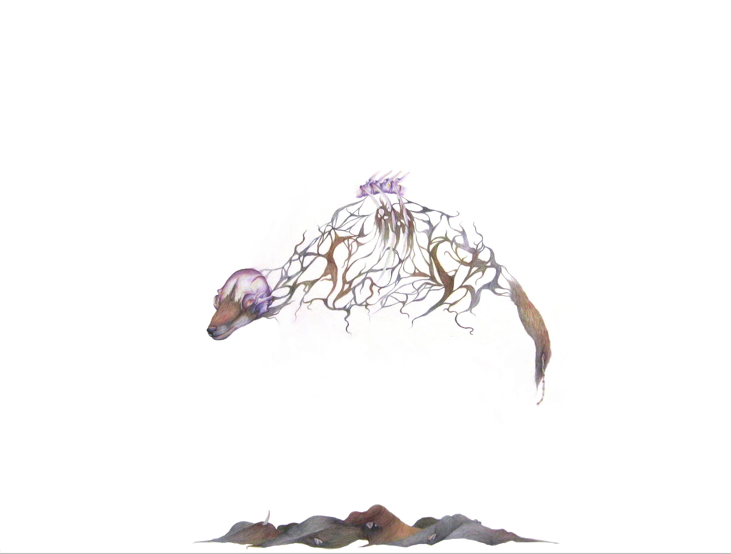 Shedding: colored pencil, 38 X 50 inches