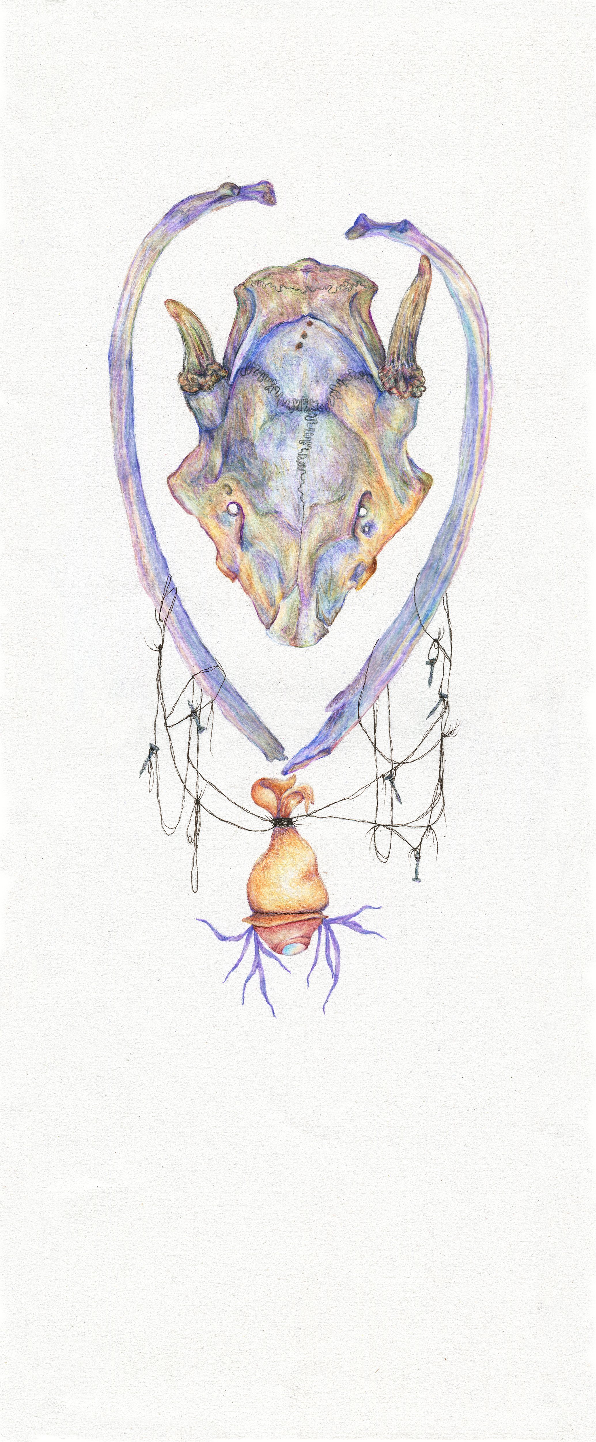 Items to Implore: colored pencil, 21.75 X 9 inches, 2014