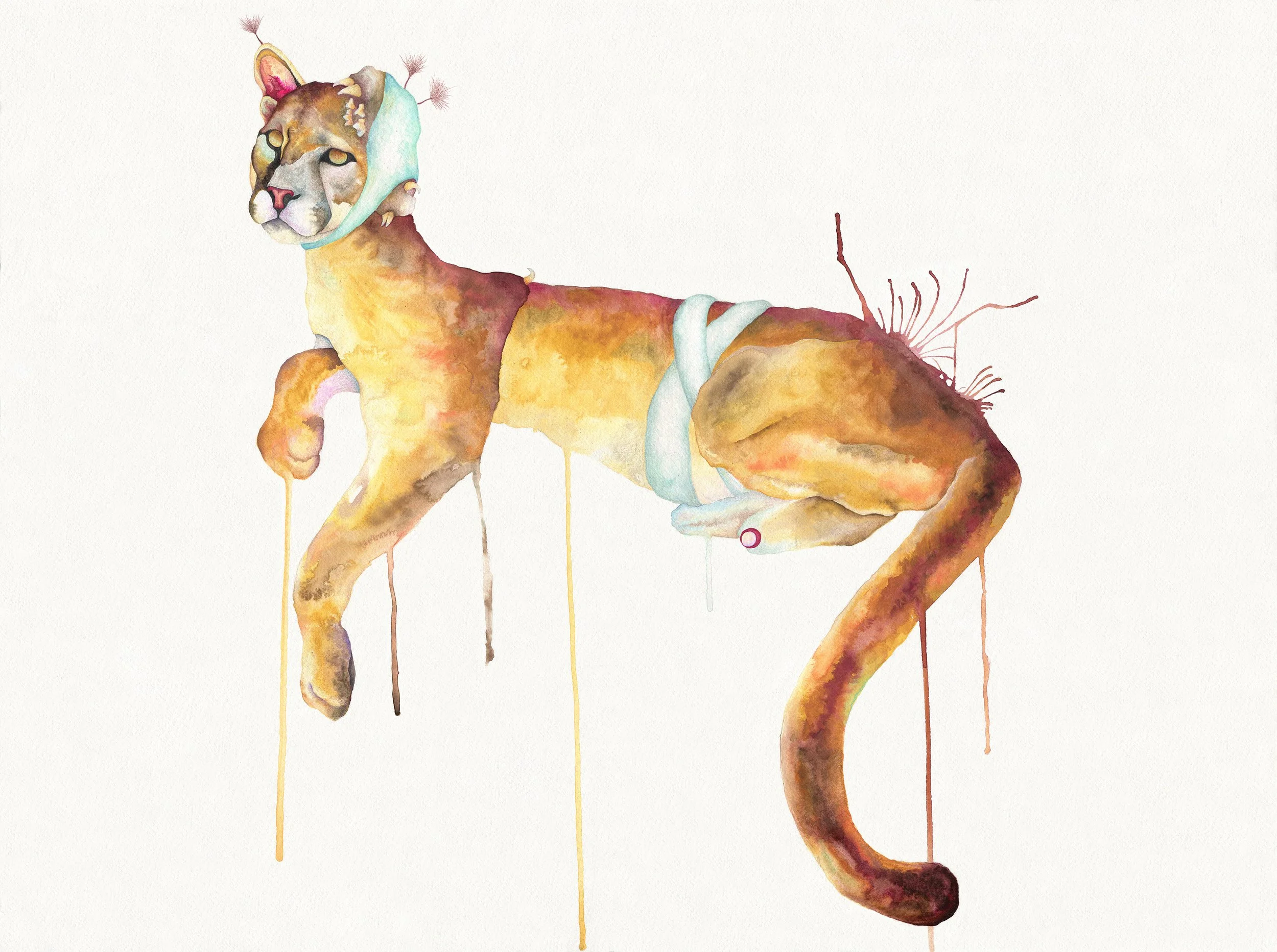 Anguish of the Sage: watercolor, gouache, and colored pencil, 22 X 30 inches, 2016